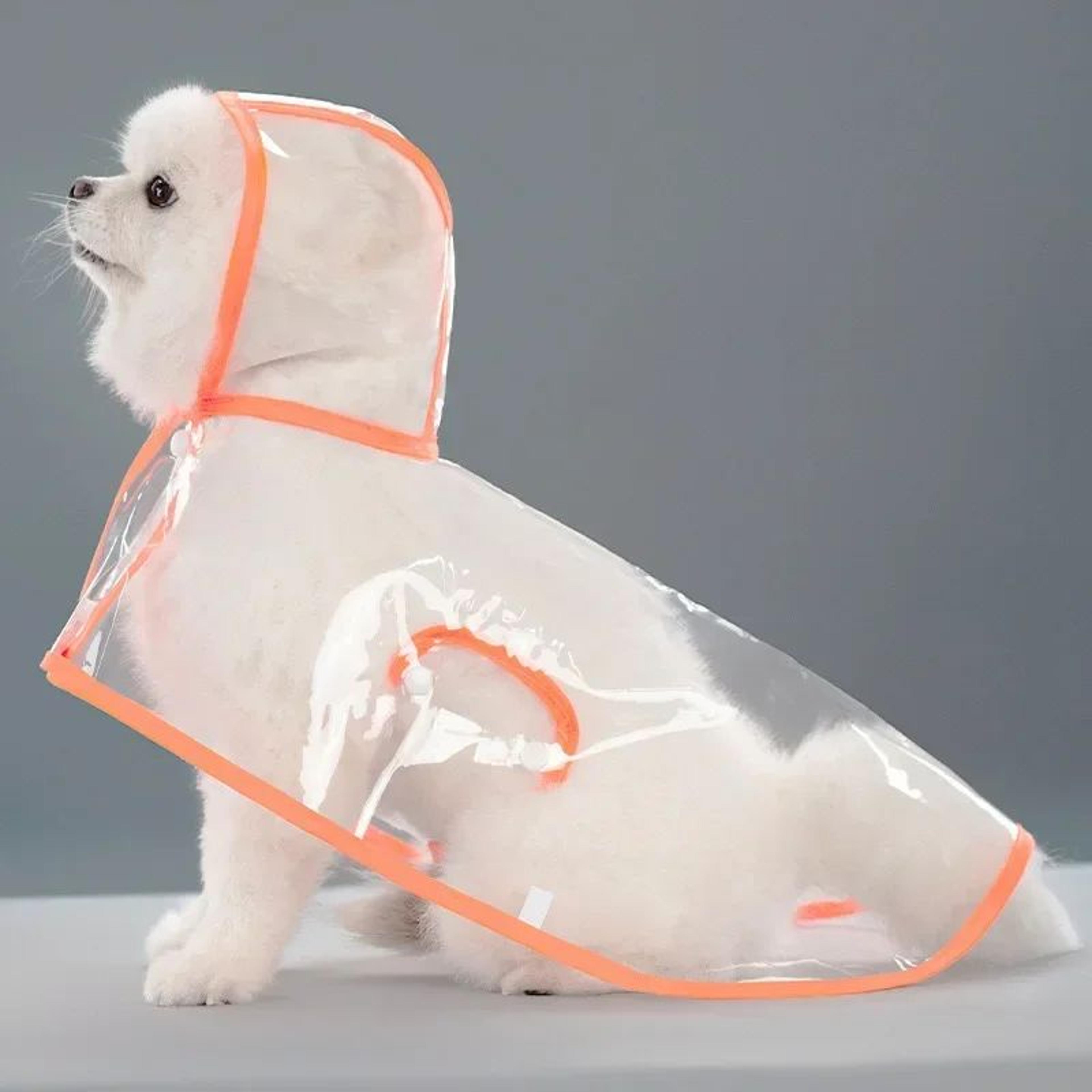 ClearShield Waterproof Dog Raincoat For Small  Large Dogs 10