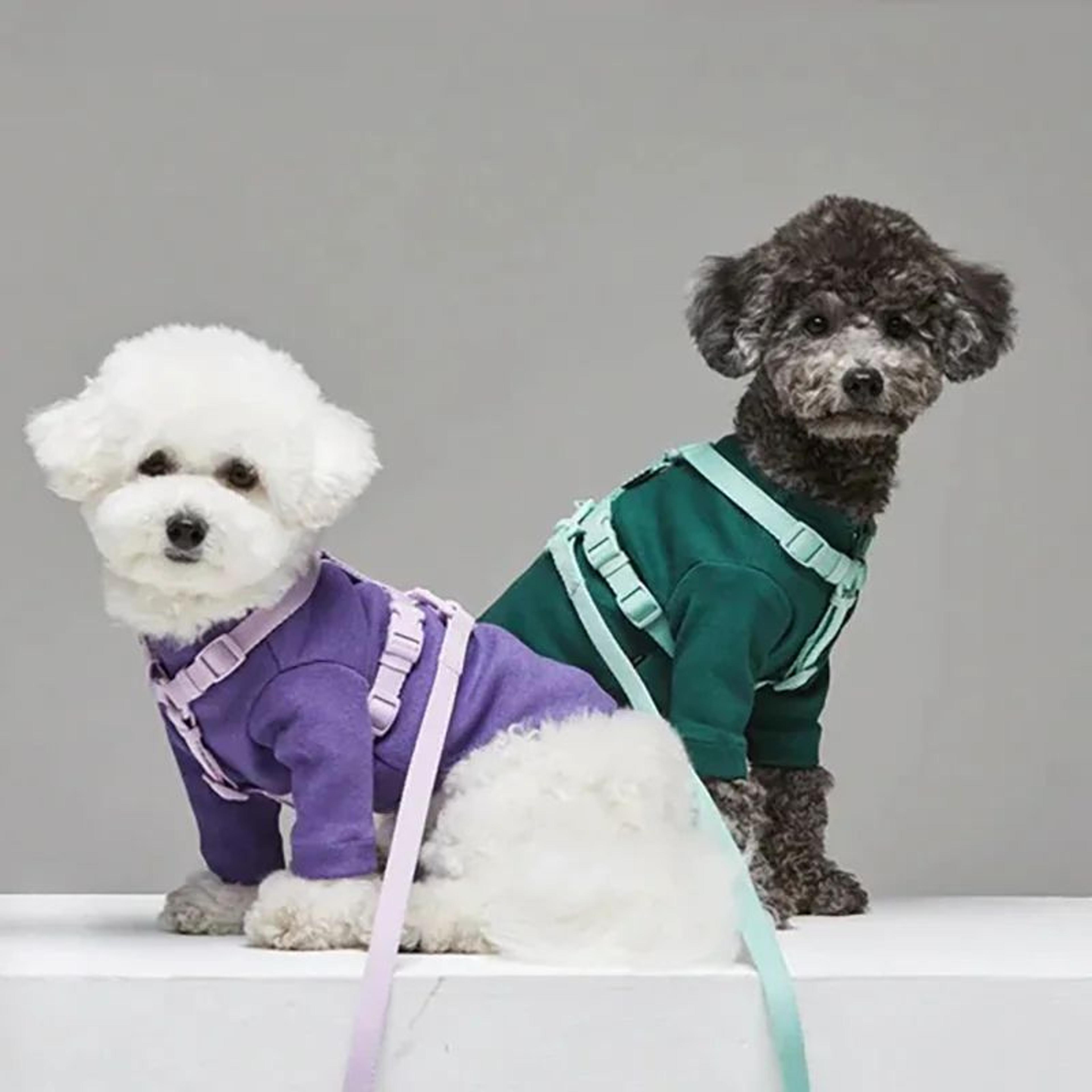 Macaron Adjustable Dog Harness Set With Matching Leash For Small  Medium Dogs 2