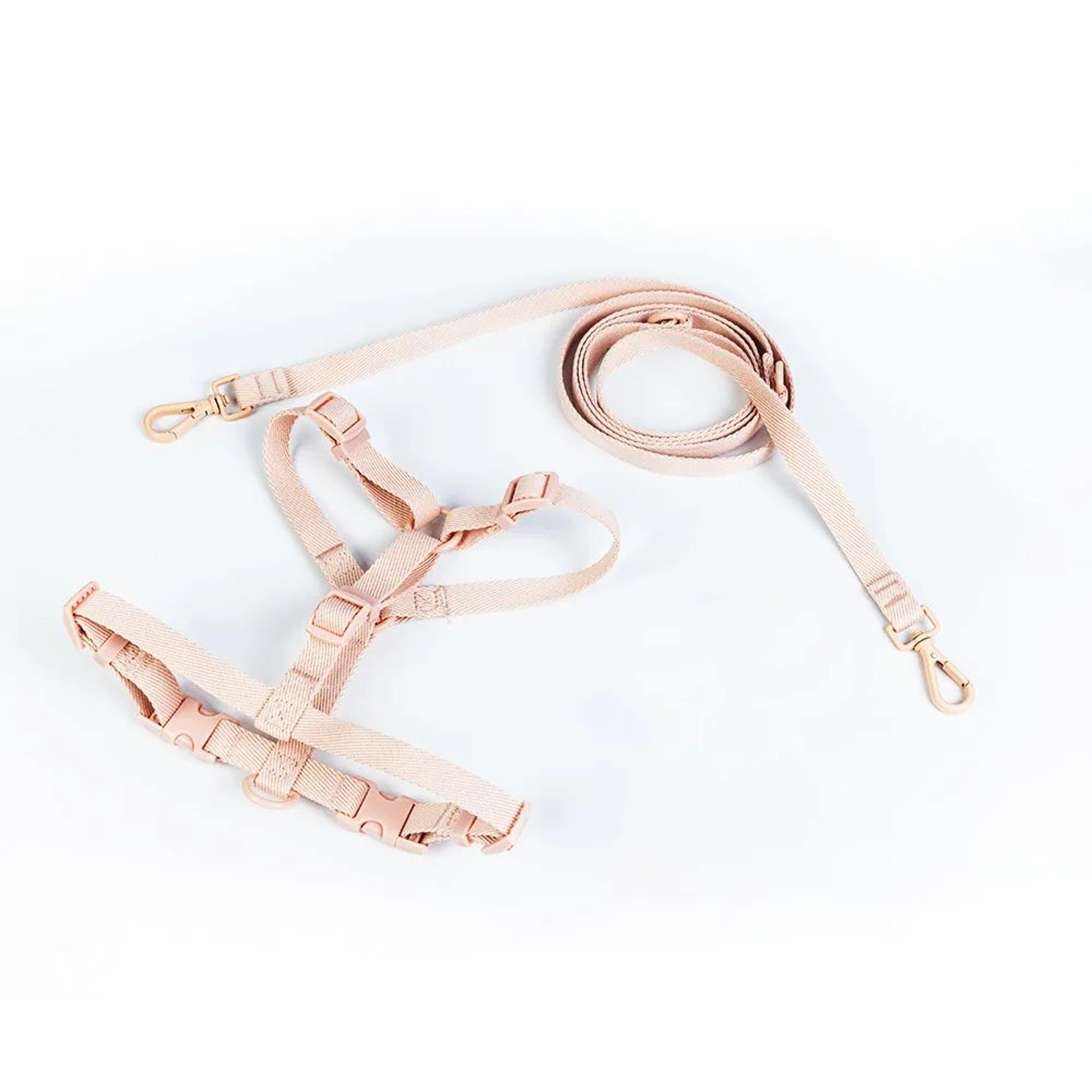 Macaron Adjustable Dog Harness Set With Matching Leash For Small  Medium Dogs 8