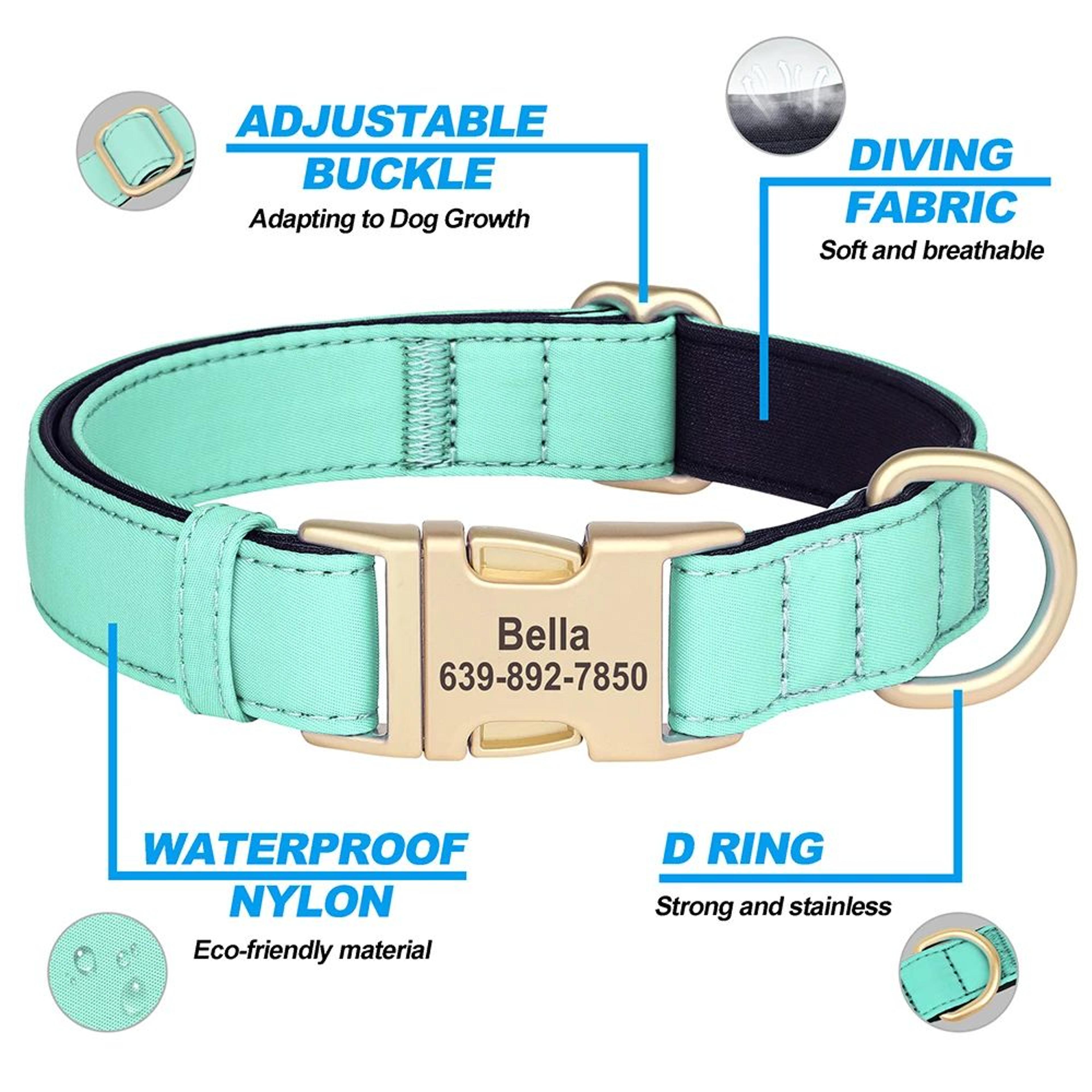 Custom Engraved Waterproof Dog Collar With Soft Padding For Small Medium  Large Dogs 2