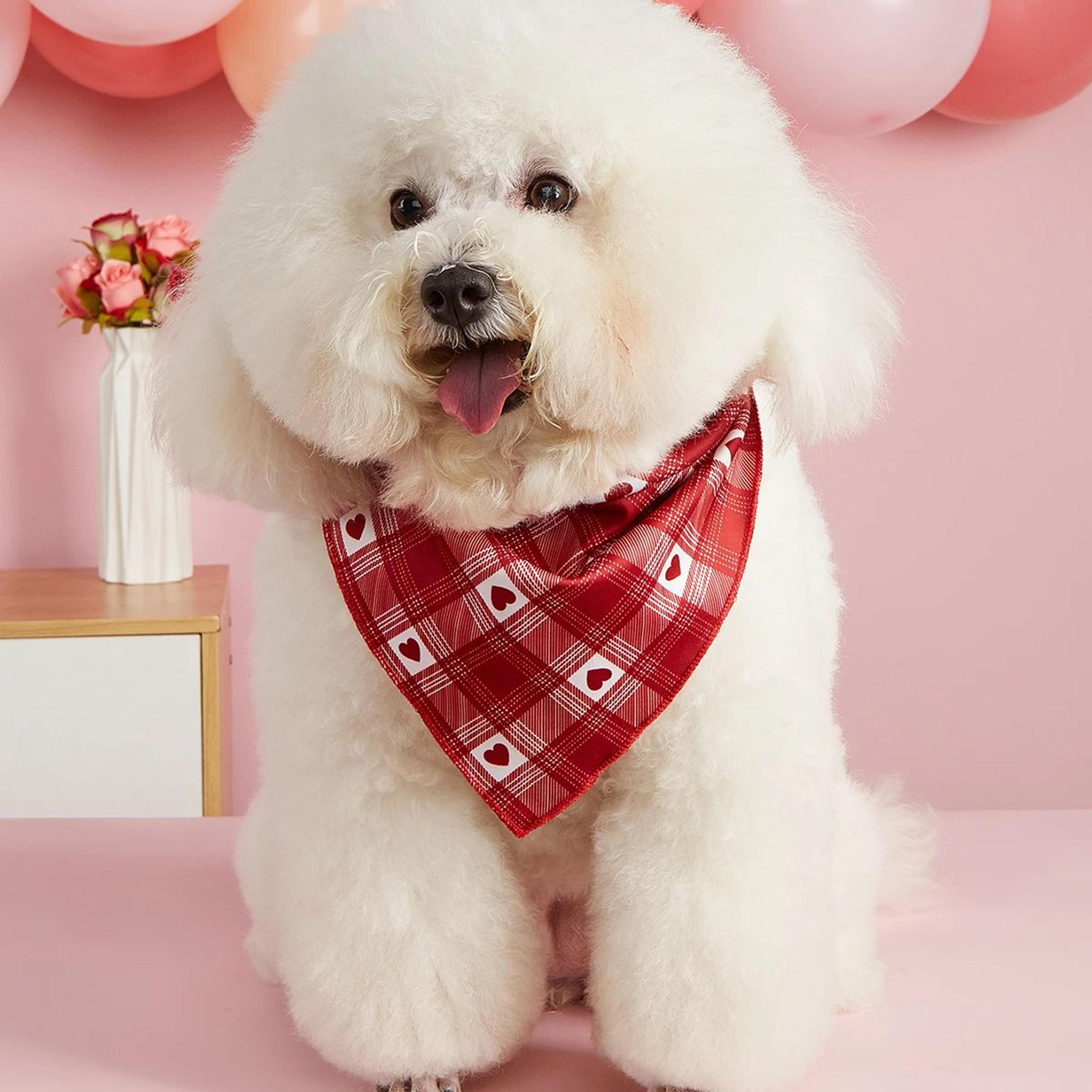 Valentine Heart Print Dog Bandana Scarf 1