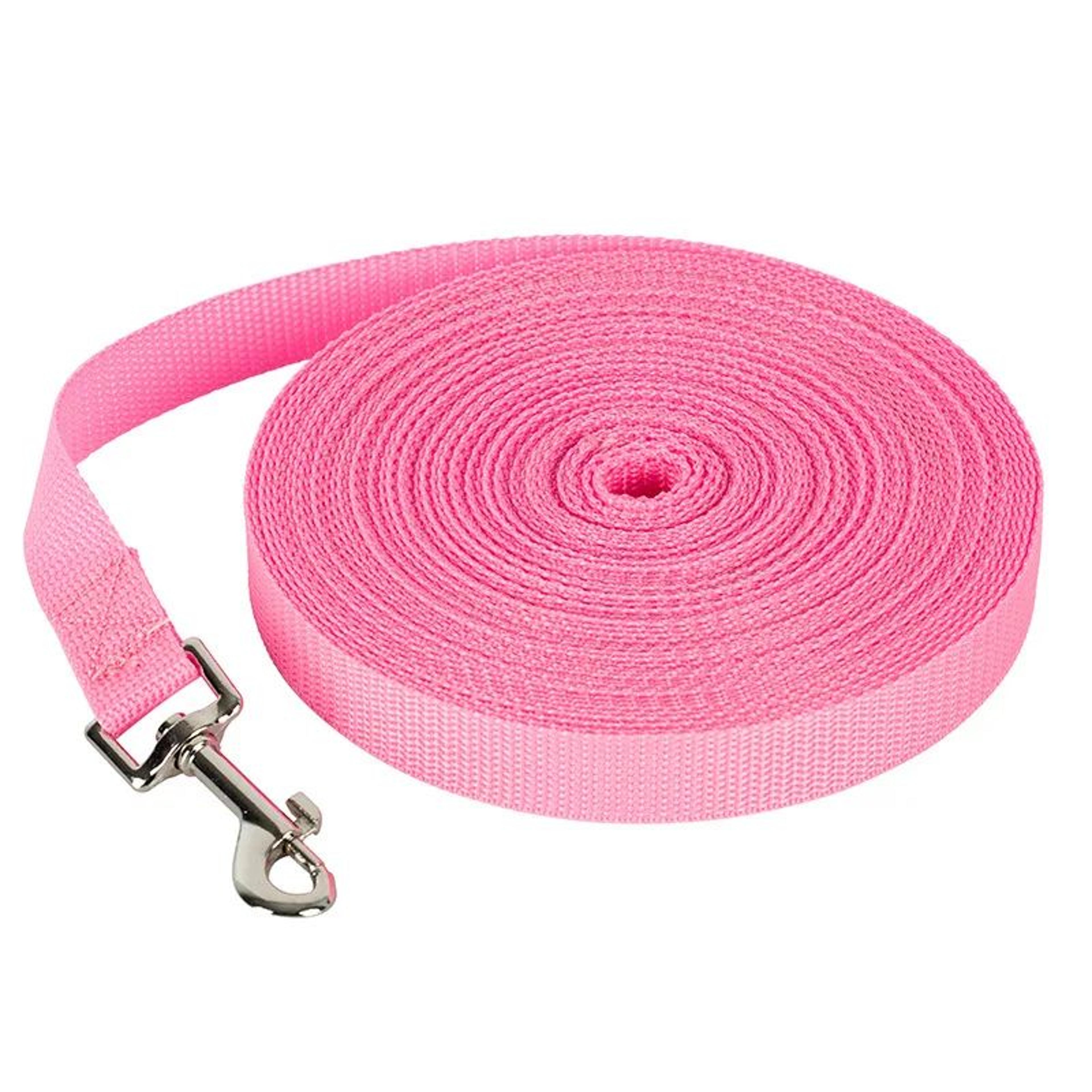 Long Dog Leash For Training Outdoor Nylon Dog Leash 10