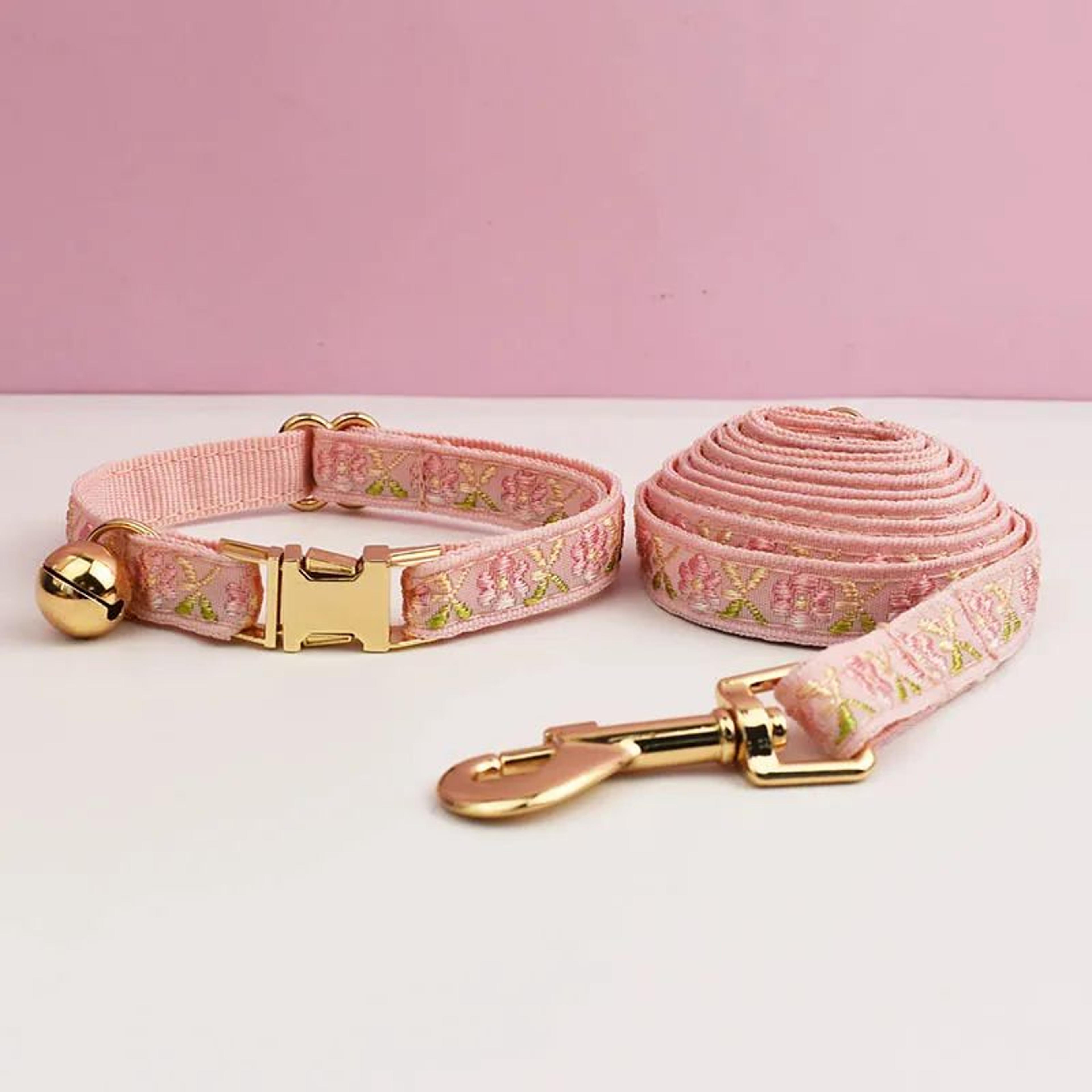 Personalized Cat Collar With Bell And Engraved ID Tag Leash Set 15