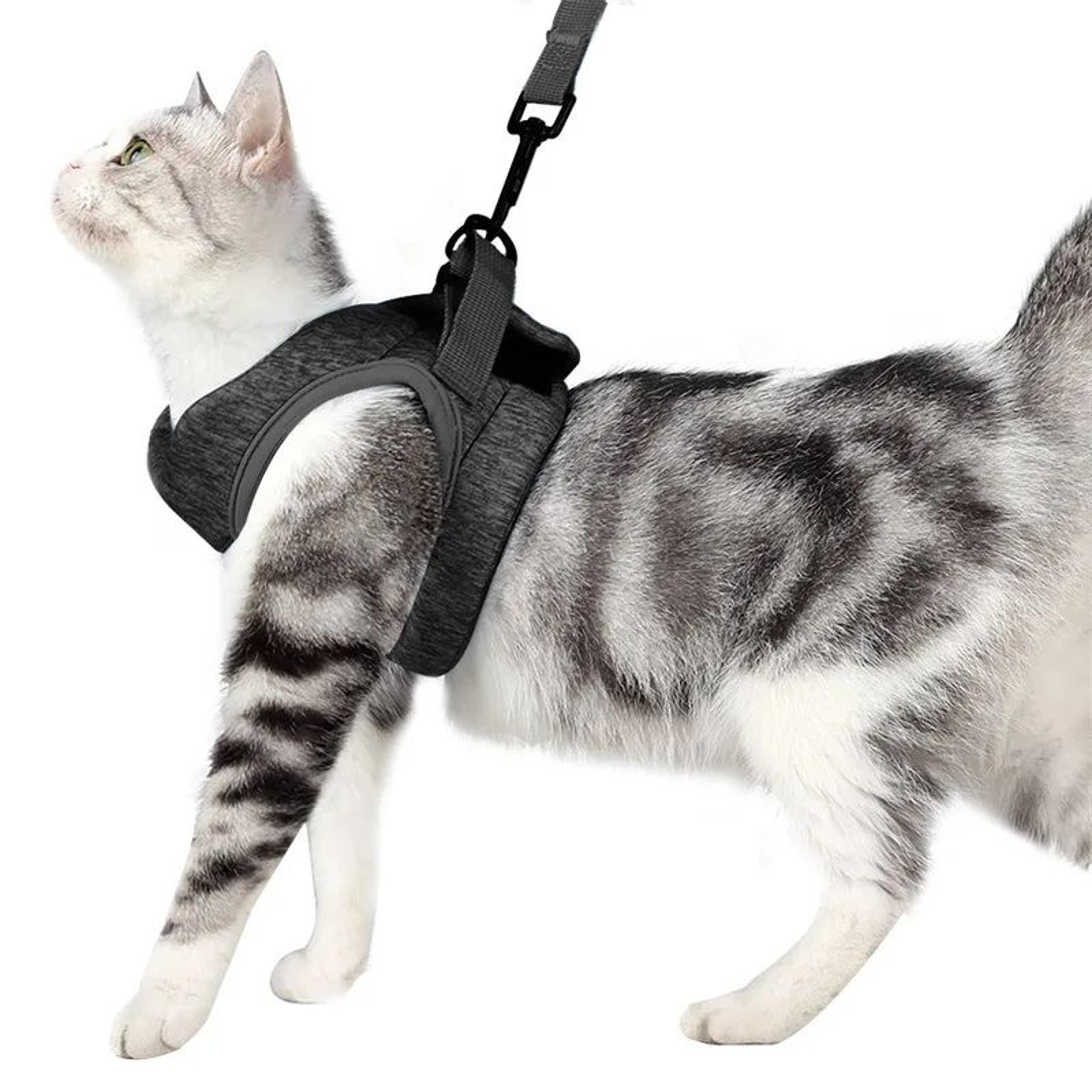 PurrSafe Adjustable Cat Harness And Leash Set For Kittens  Small Cats 6