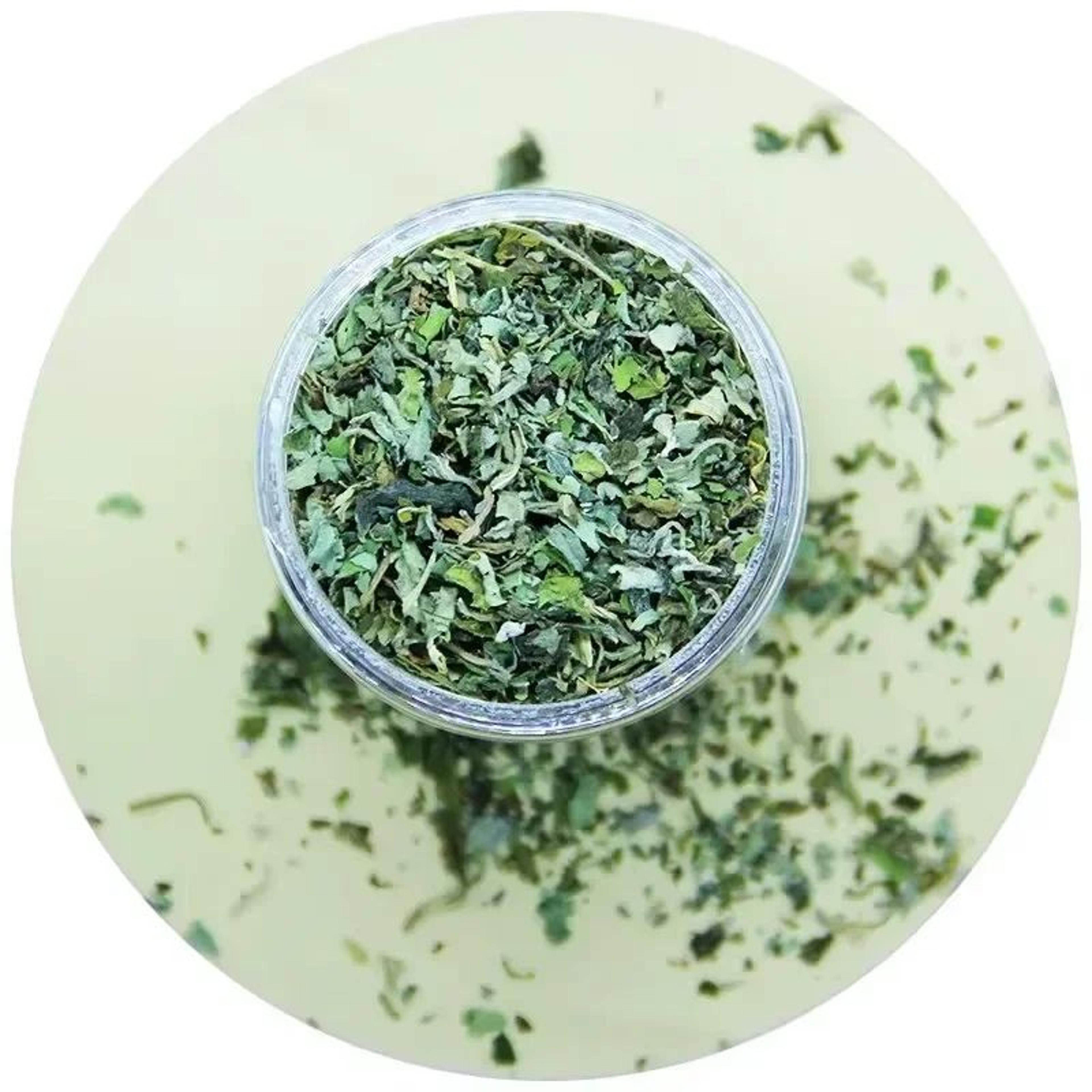 Organic Catnip Mint Grass Interactive Cat Toy 3