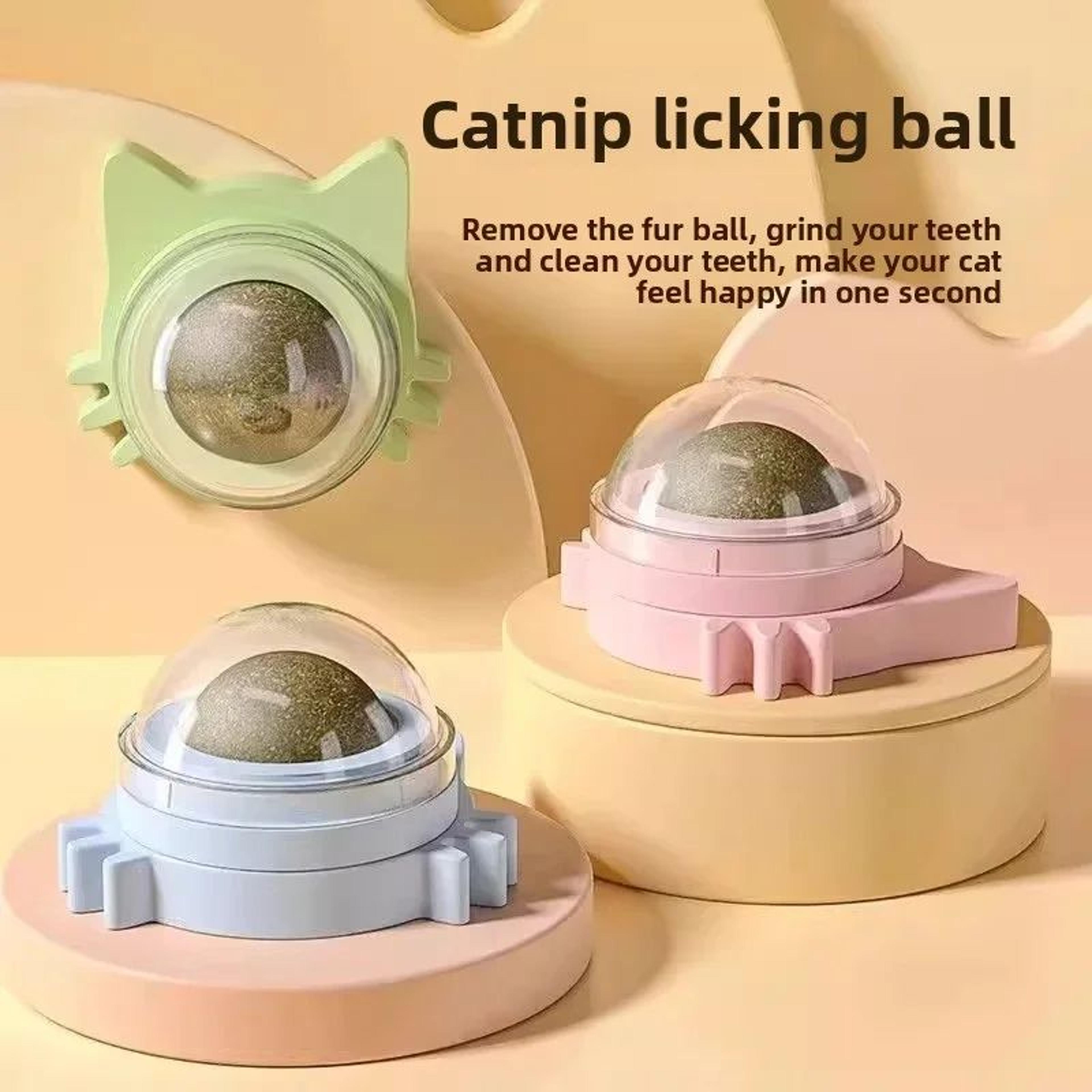 CalmPaw Rotating Catnip Wall Toy For Cats  Interactive Catnip Toy  Healthy Dental Treat 0