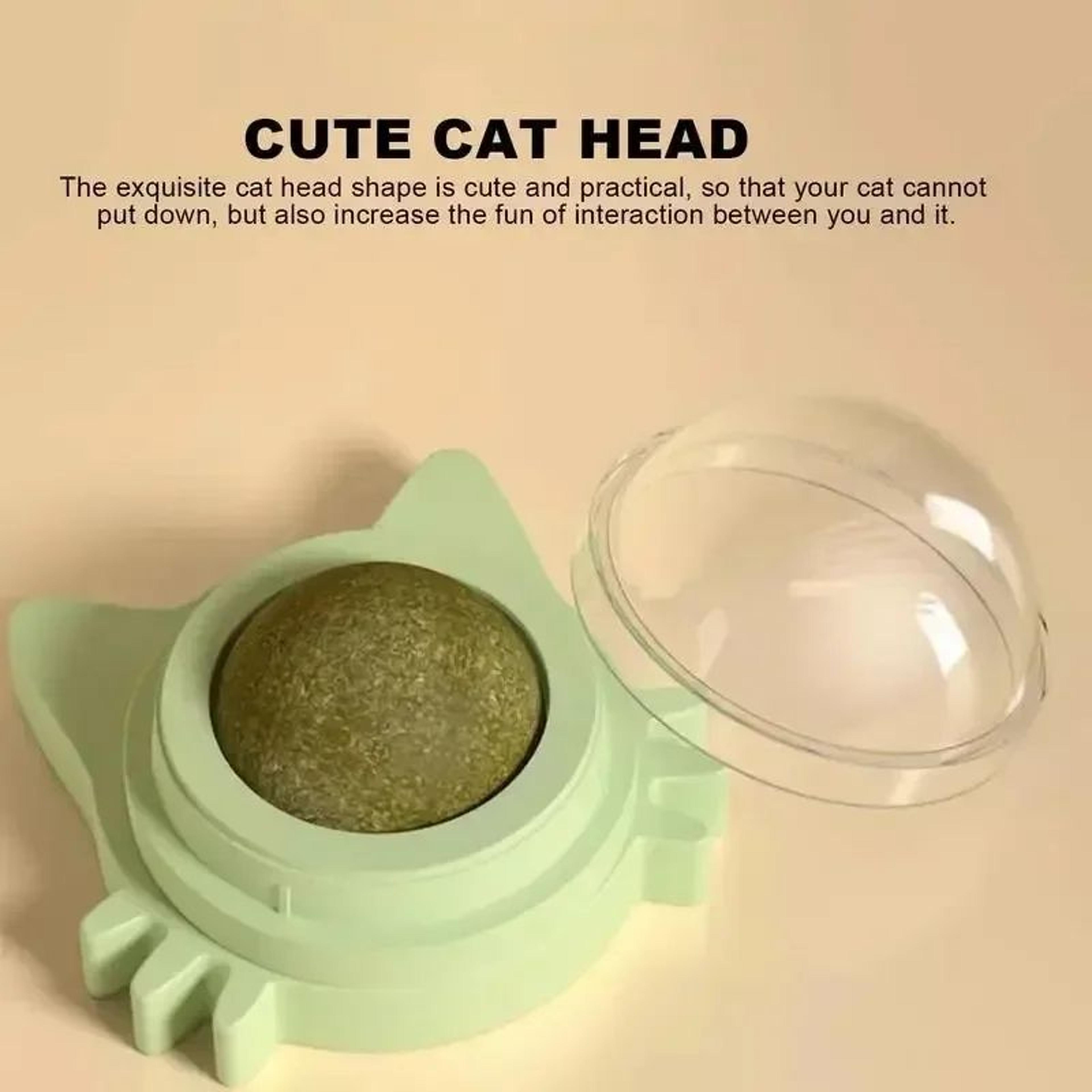 CalmPaw Rotating Catnip Wall Toy For Cats  Interactive Catnip Toy  Healthy Dental Treat 4