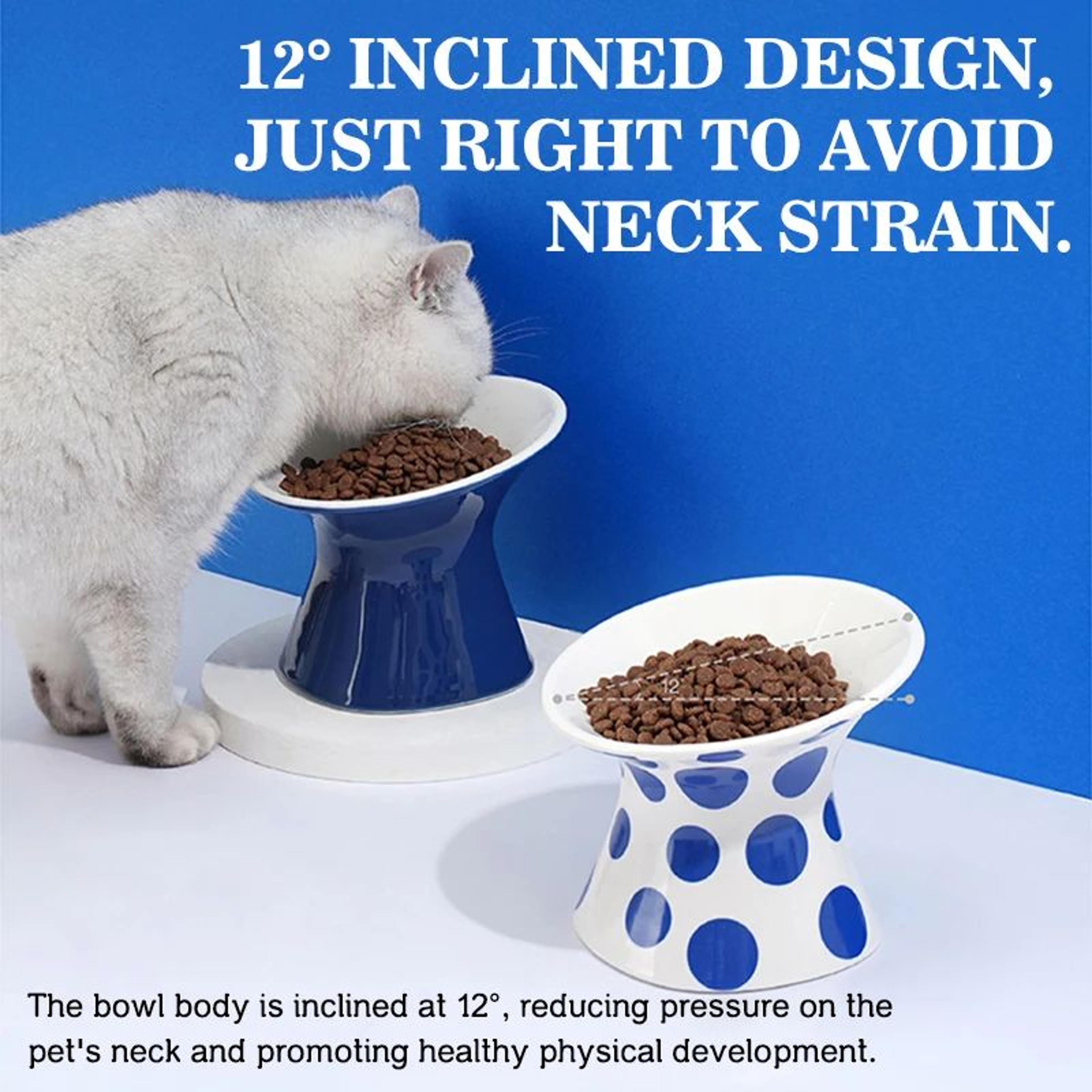 ErgoLift Elevated Cat Bowl Ceramic AntiTip Pet Dish 1