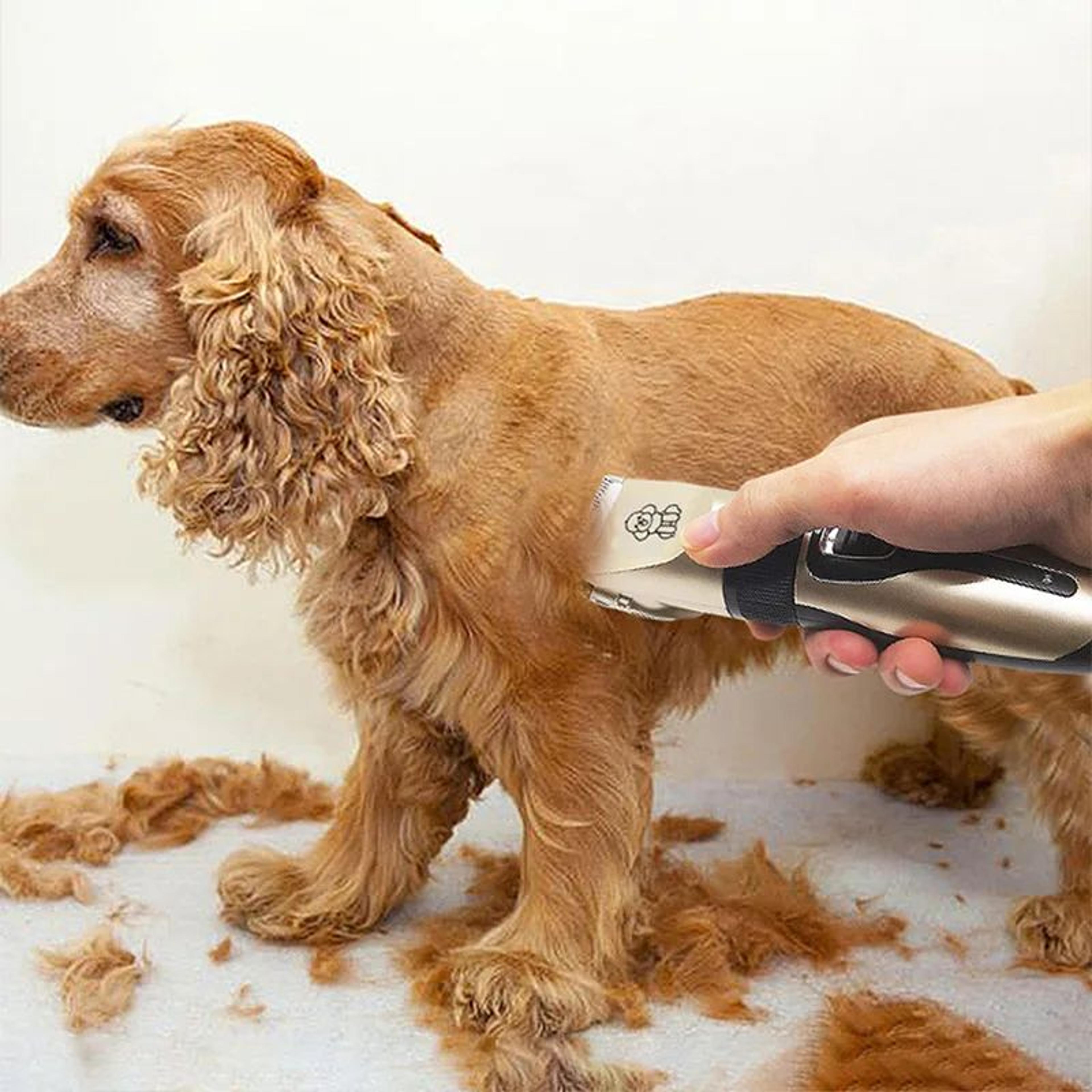CalmTrim Rechargeable Pet Grooming Clipper Set For Dogs Cats  Rabbits 3