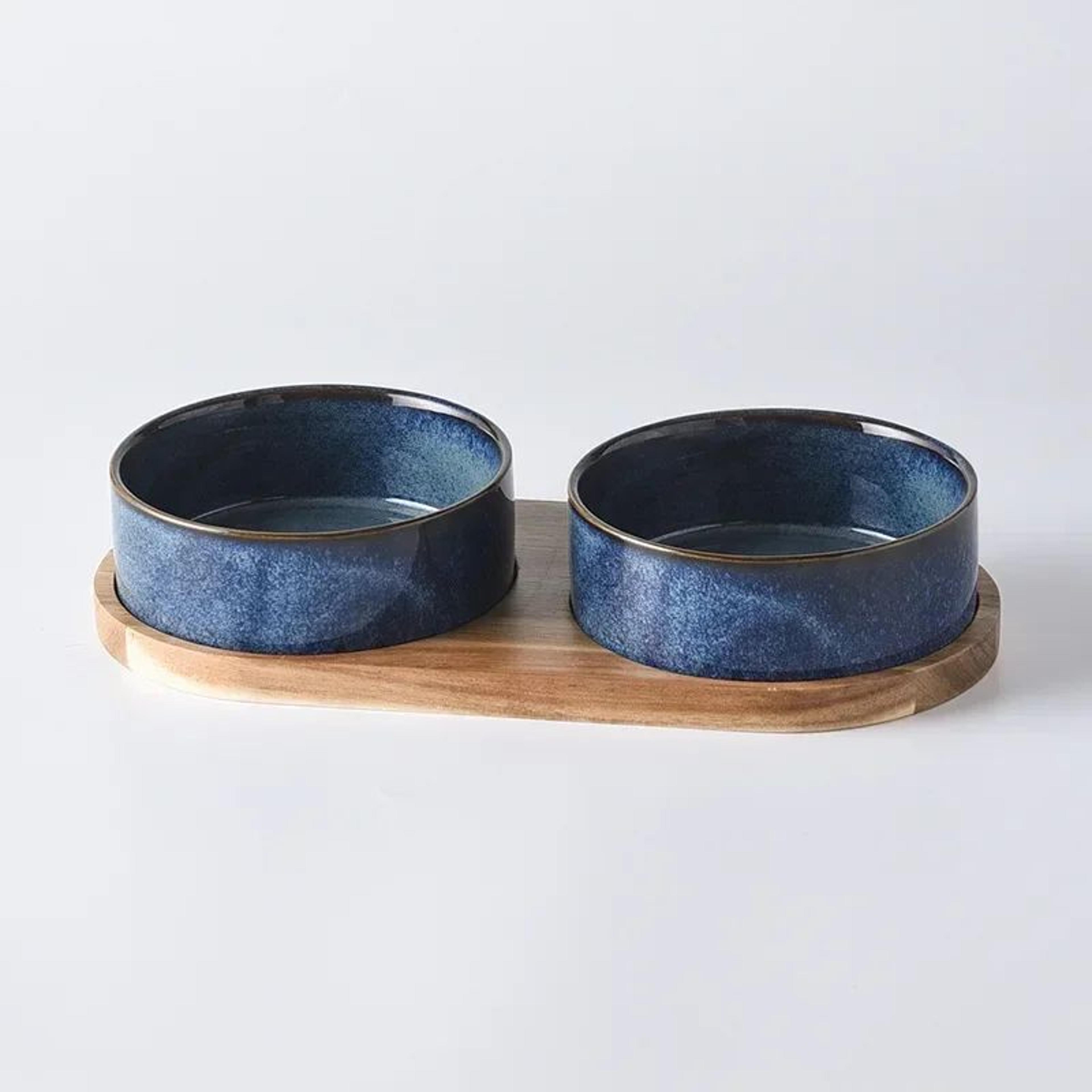 Elevated Ceramic Cat Bowl For Cats  Small Dogs  AntiVomit Raised Pet Bowl With NonSlip Design 0
