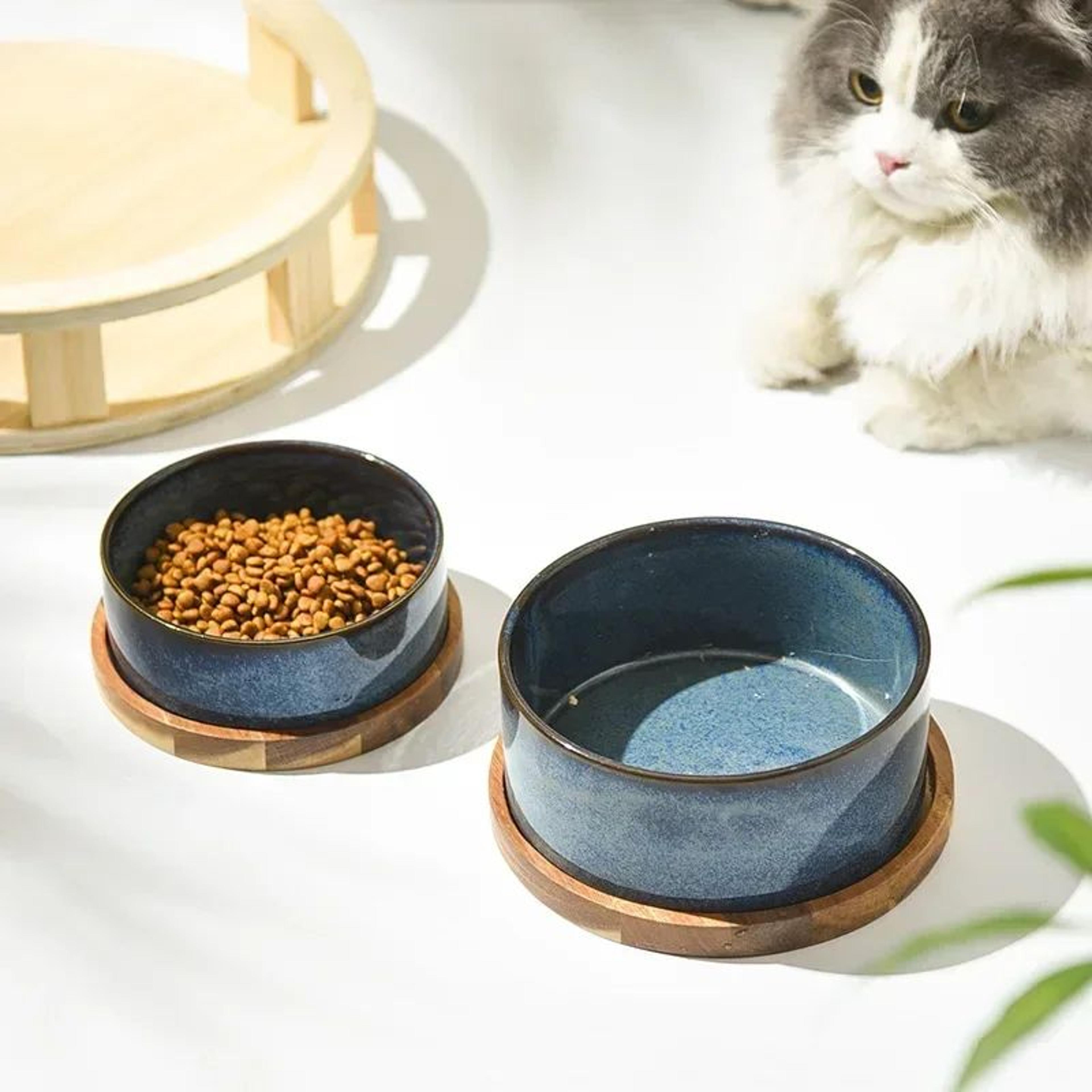 Elevated Ceramic Cat Bowl For Cats  Small Dogs  AntiVomit Raised Pet Bowl With NonSlip Design 2