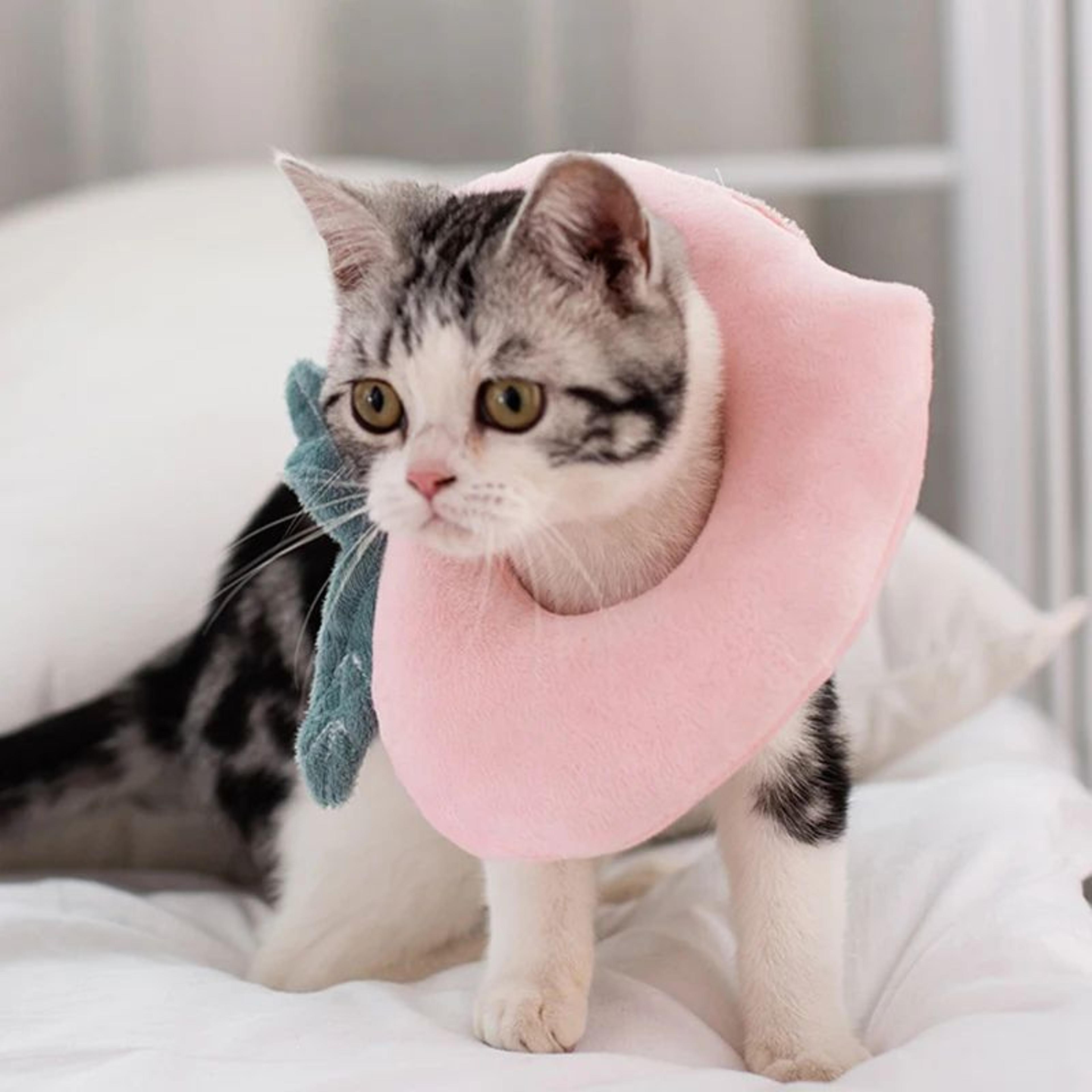 Avocado Soft Pet Recovery Collar For Dogs And Cats 3