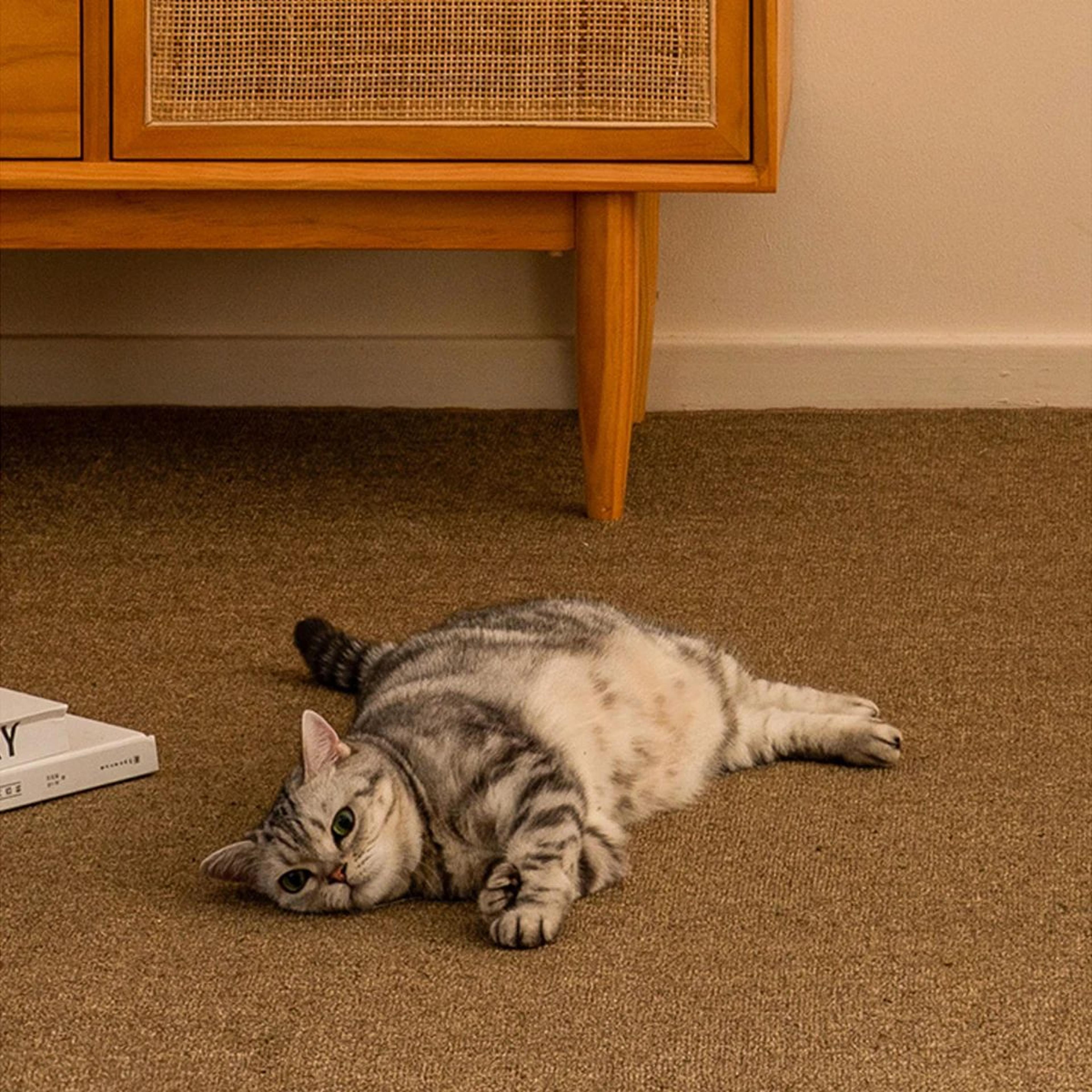 Premium Cat Scratching Mat Sofa Protector Rug 4