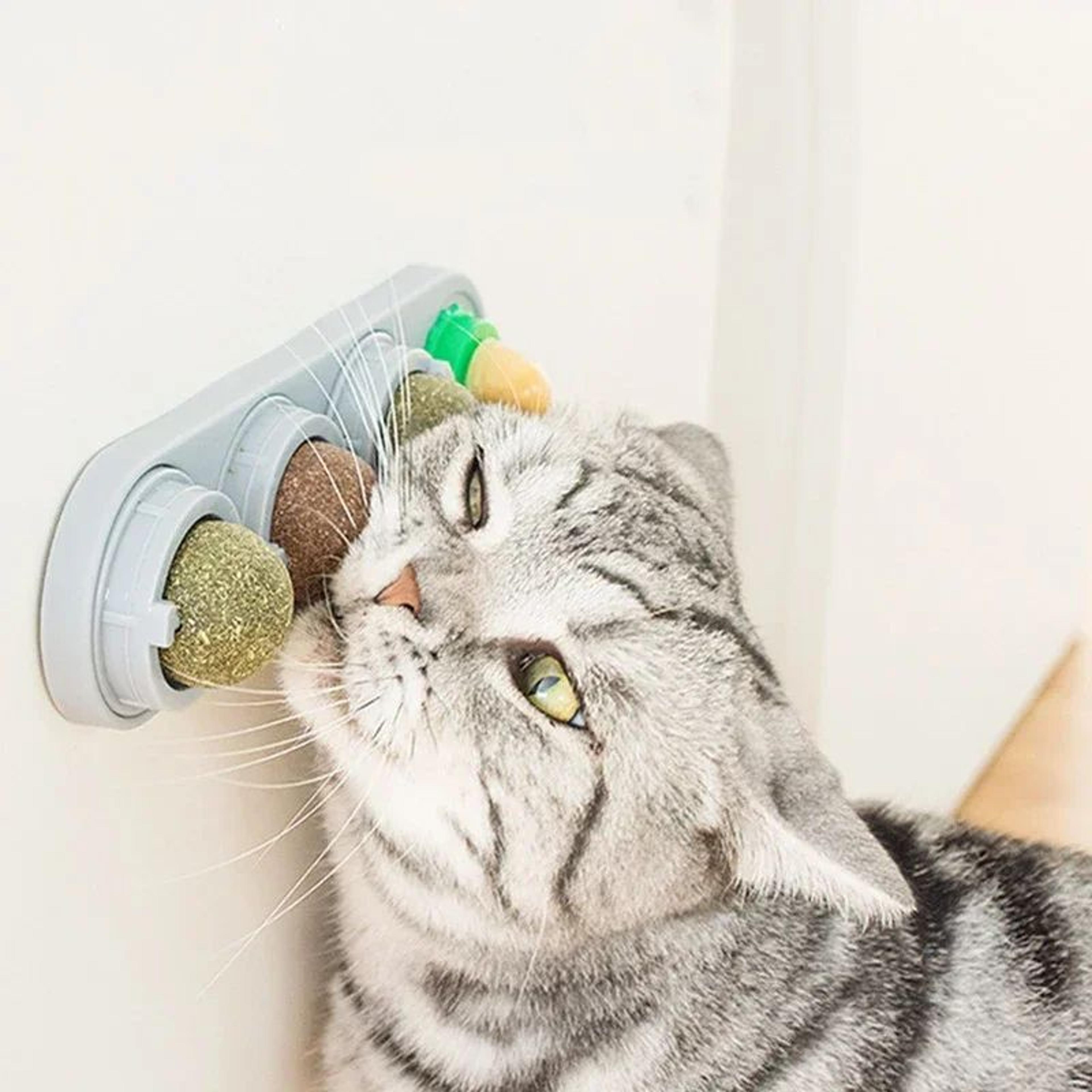 4-in-1 catnip wall toy with silvervine – rotating dental cleaning & interactive cat treat ball