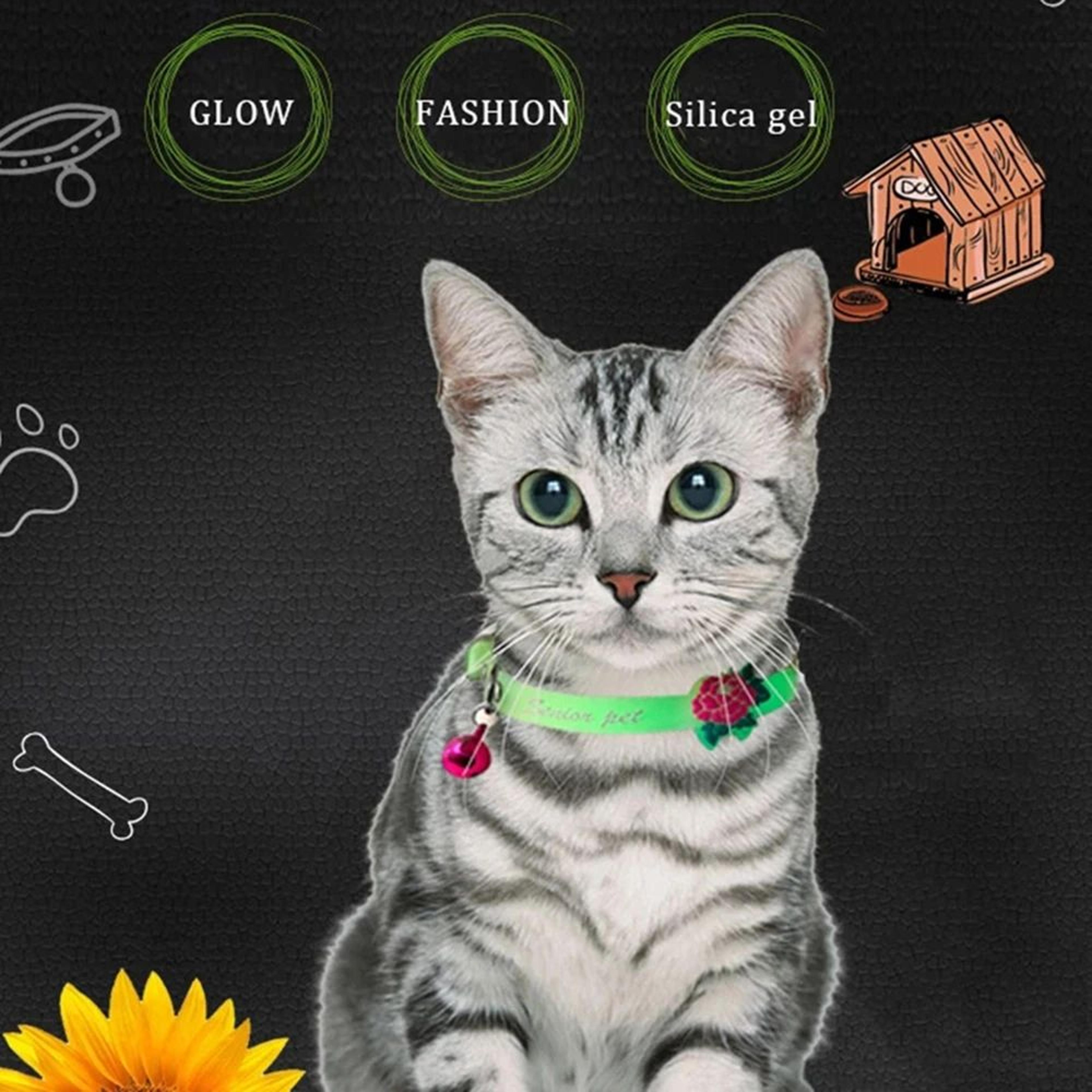 GlowGuard Luminous Cat Collar With Bell 3