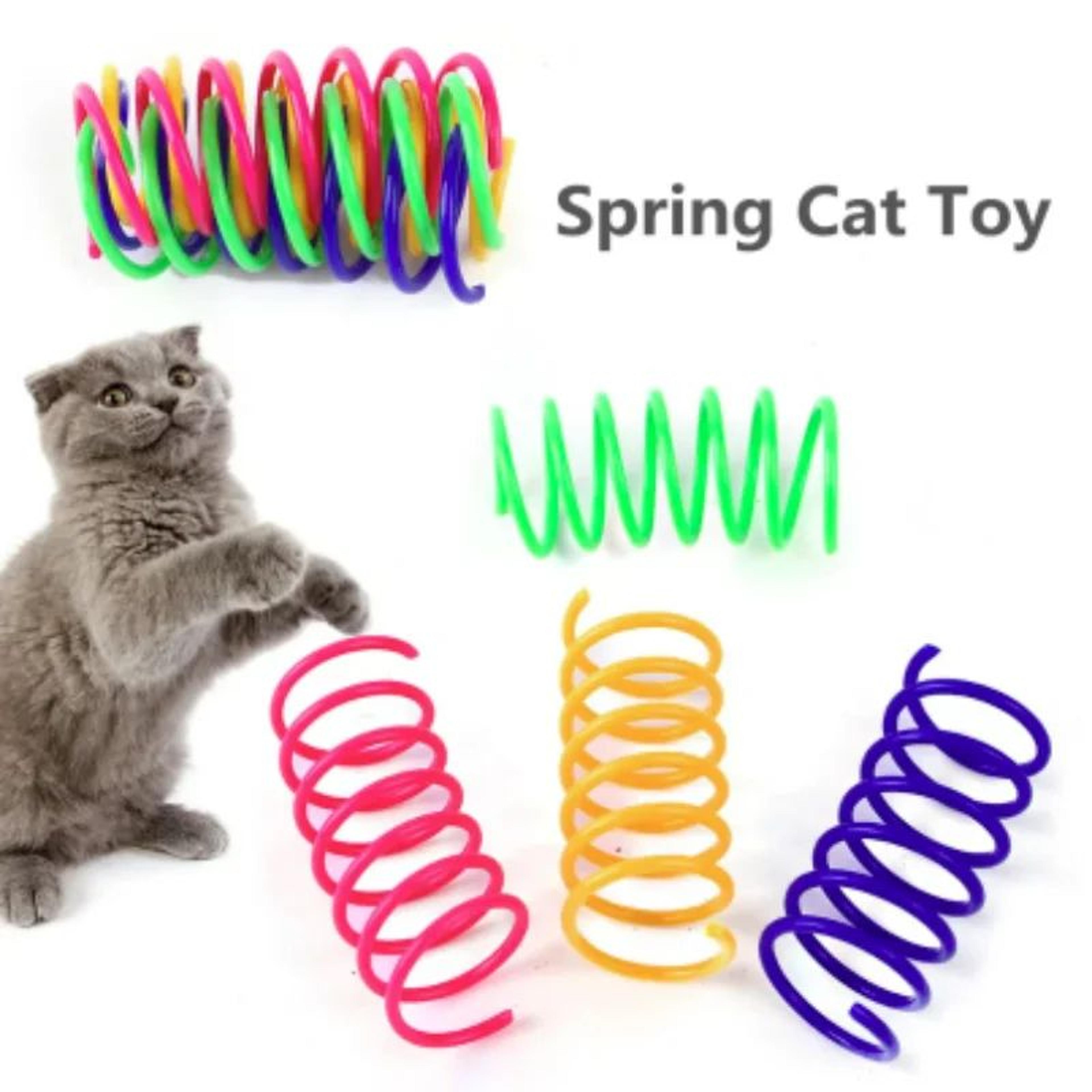 Colorful Cat Spring Toy Set For Indoor Chase And Swat Play 2
