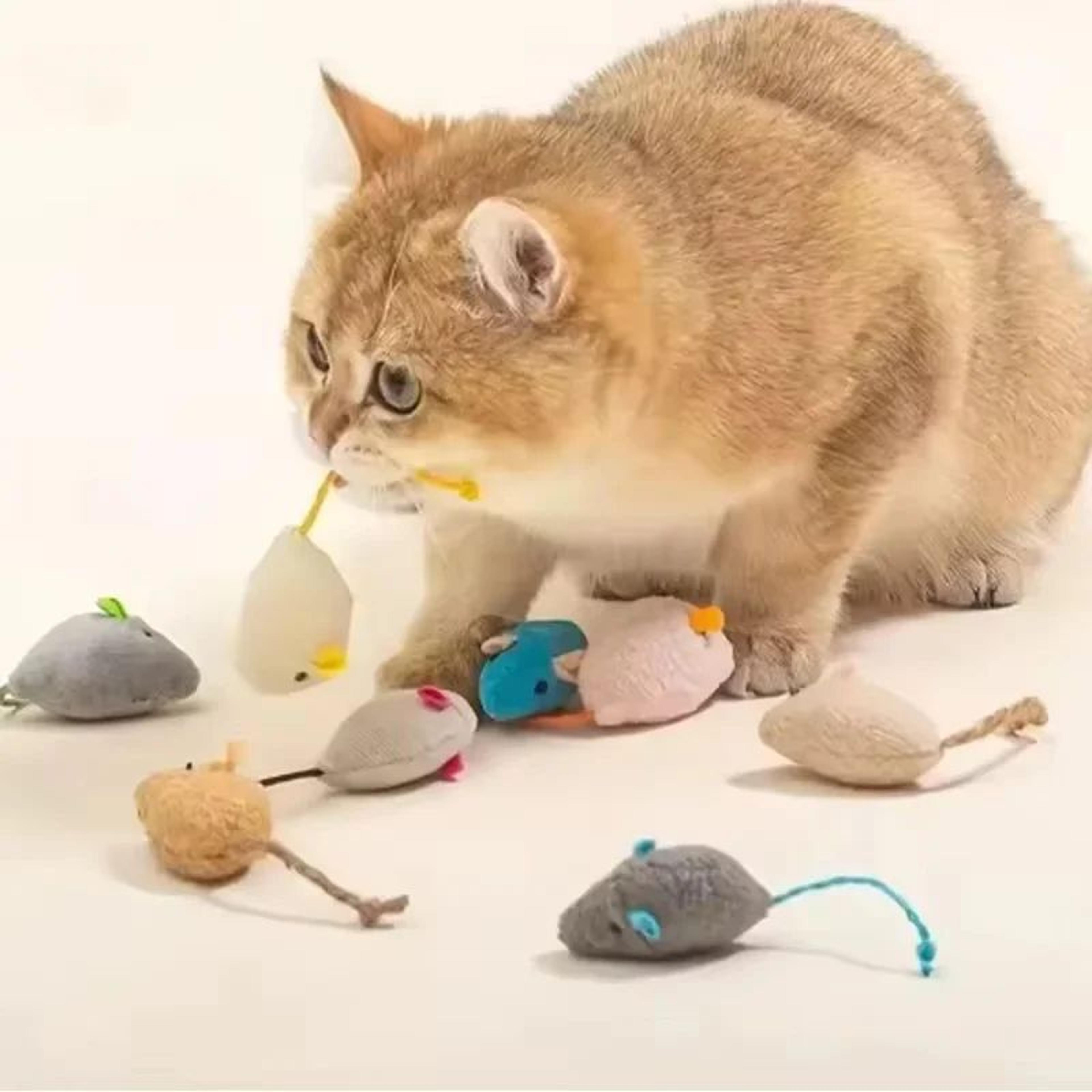 interactive plush rat cat toy for indoor play