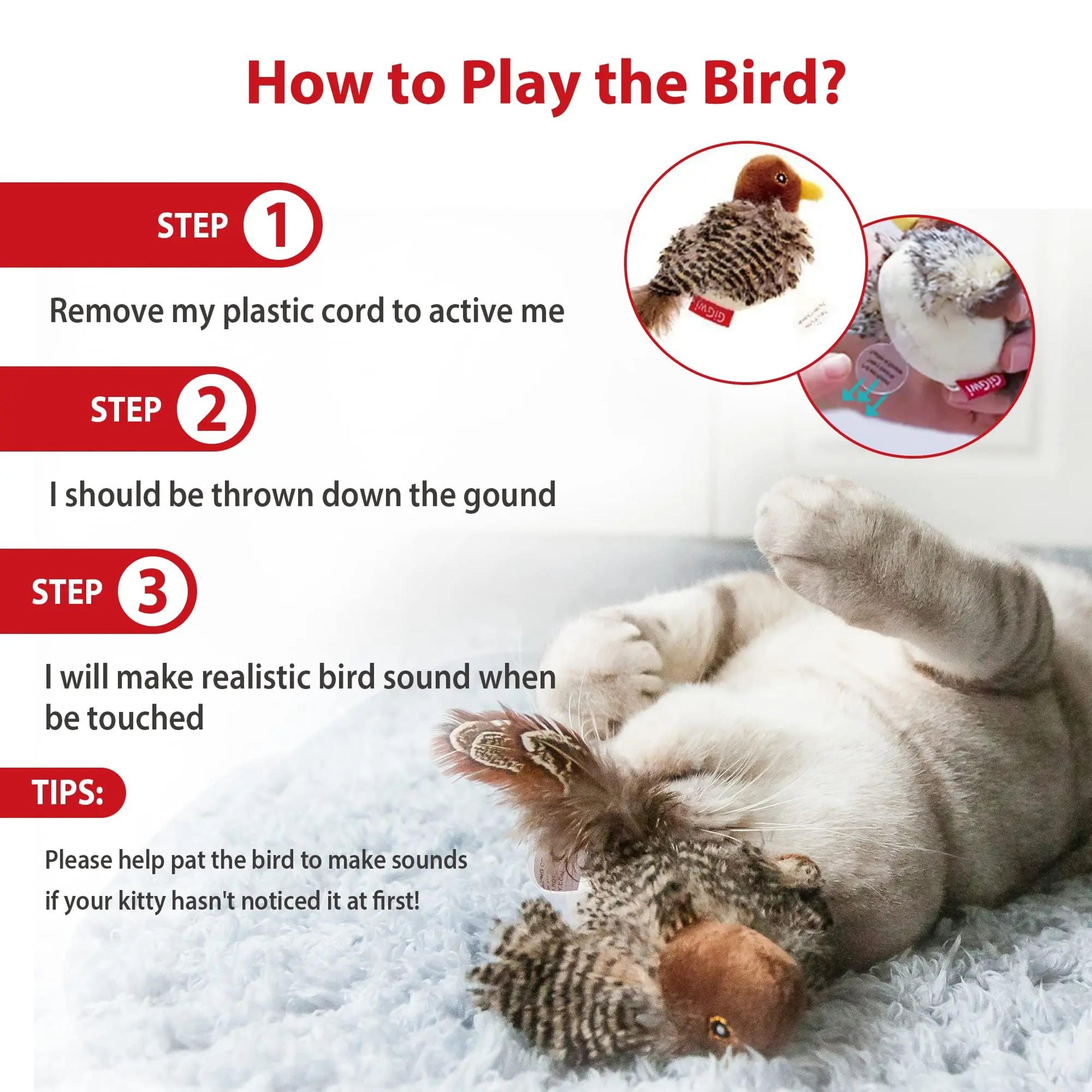 GiGwi Chirping Feather Cat Toy For Indoor Hunting Play 1