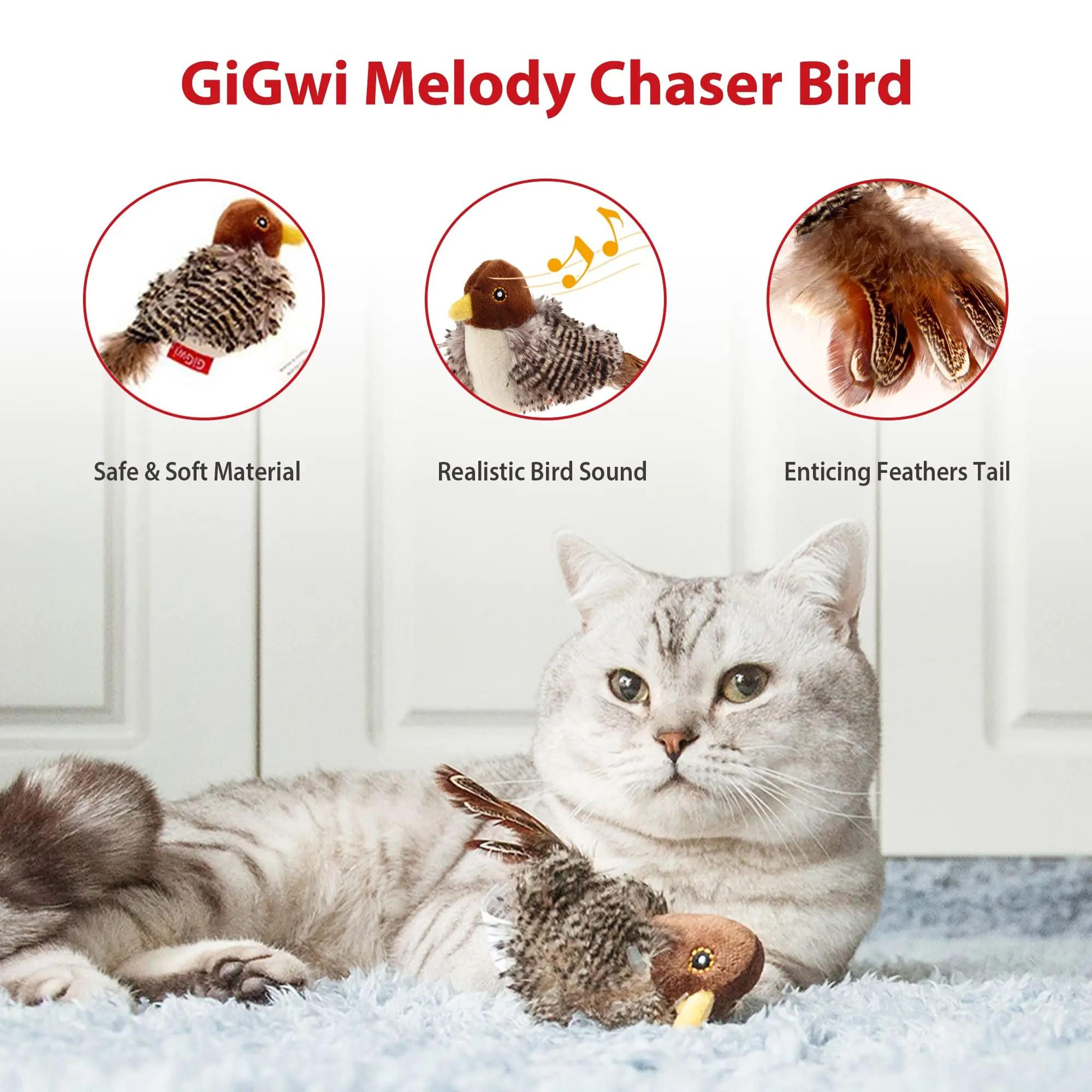 GiGwi Chirping Feather Cat Toy For Indoor Hunting Play 2