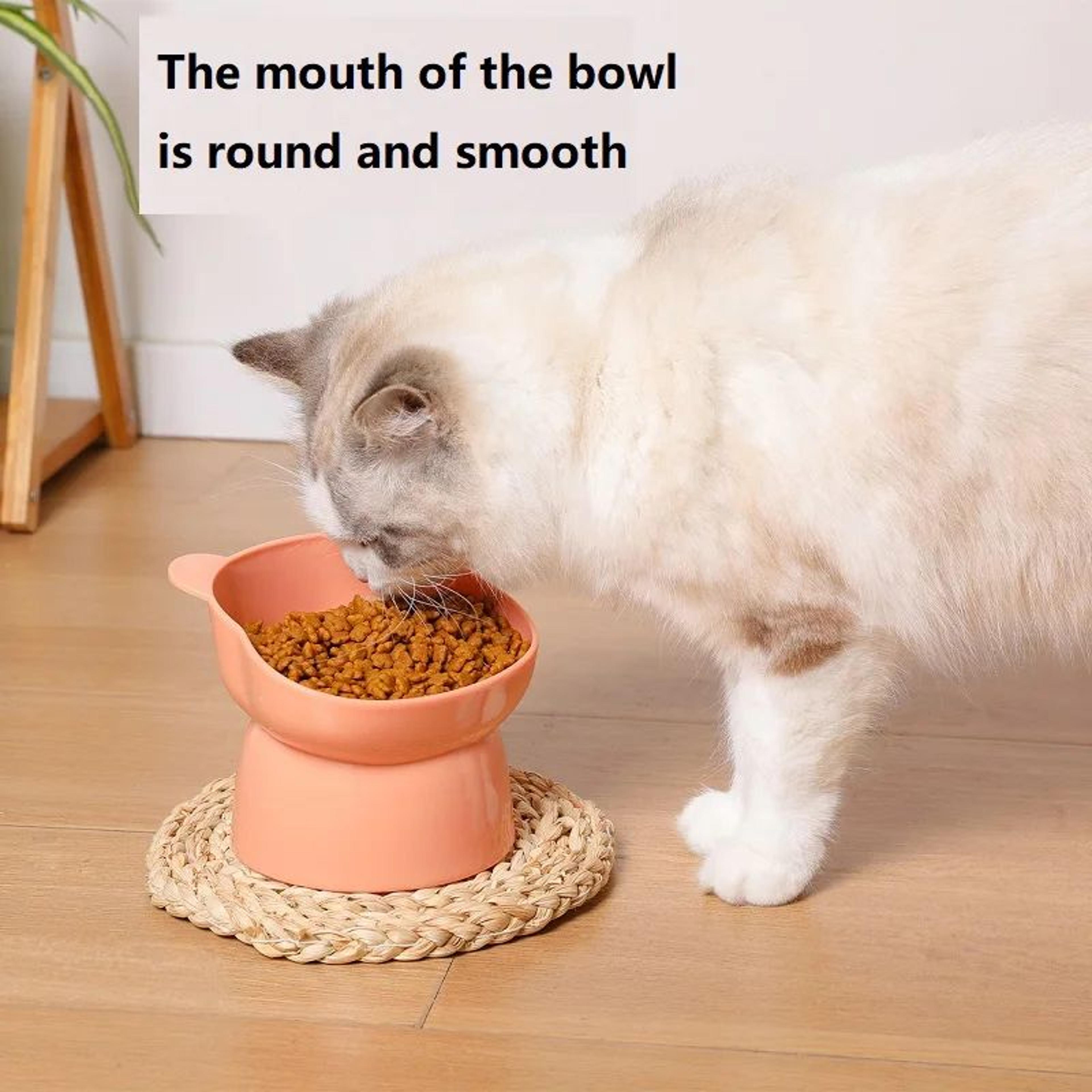 Elevated Tilted Cat Bowls For StressFree Feeding  Hydration 1