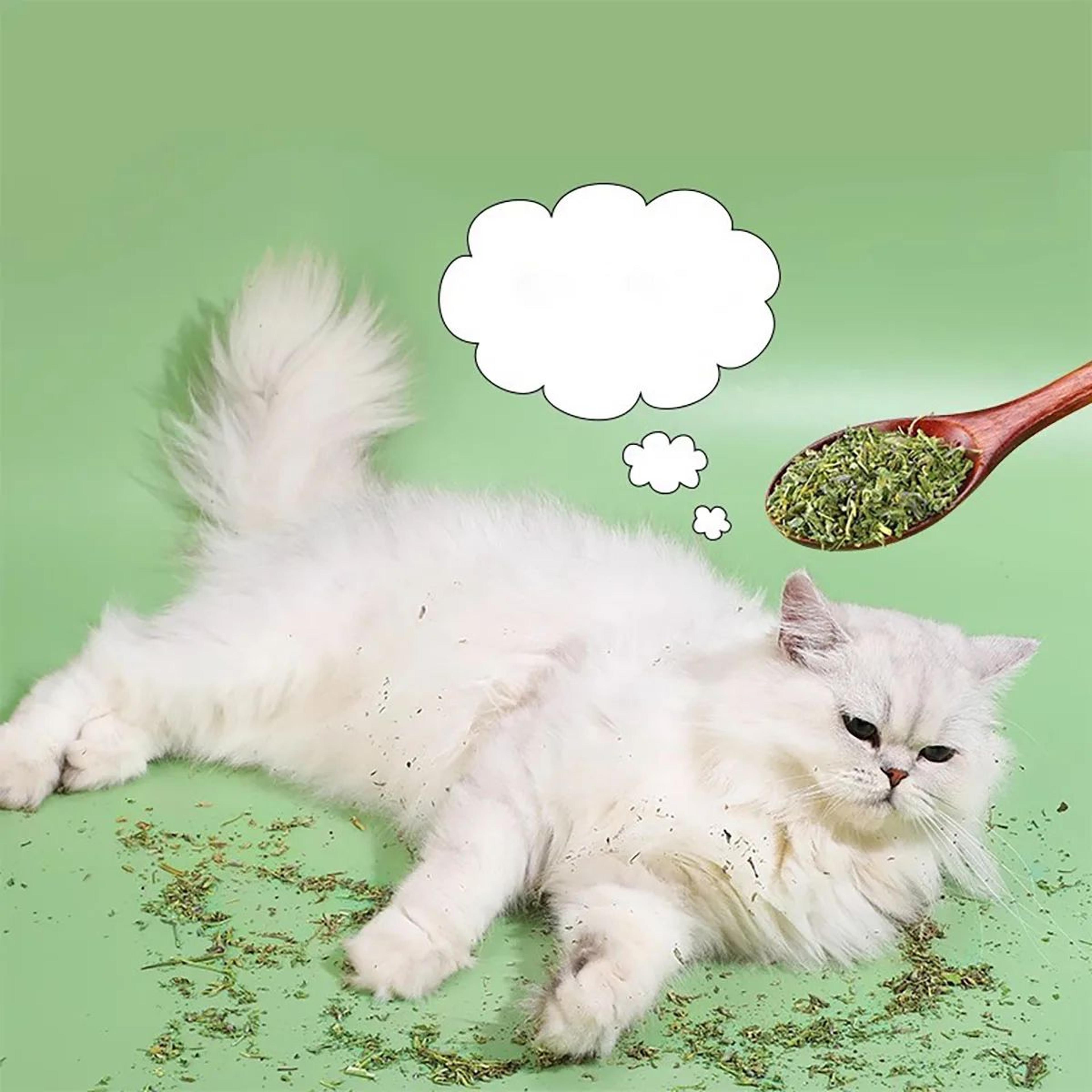 Natural Catnip Mint Grass Toy For Cats 4