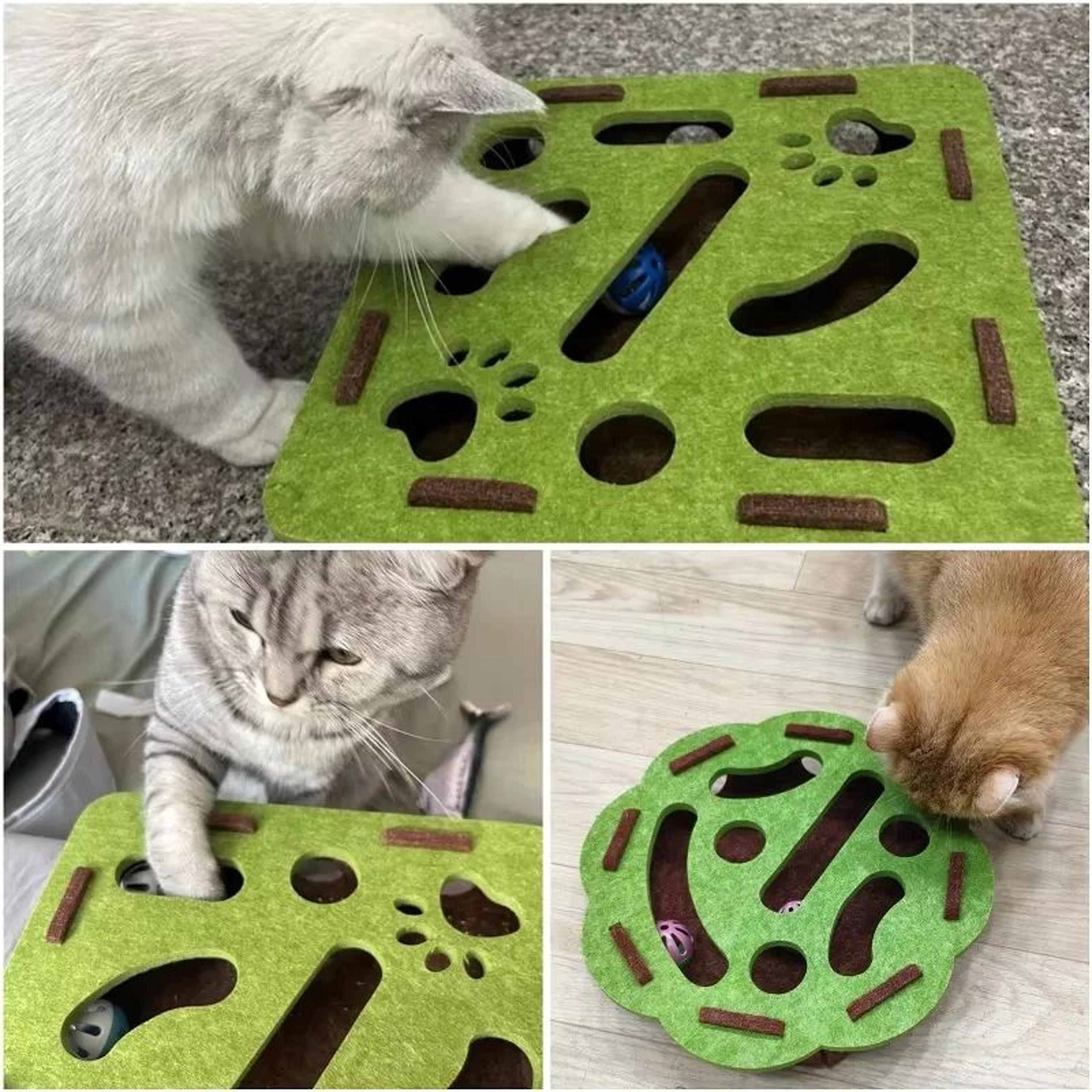 PawQuest Interactive Cat Toy Felt Maze Puzzle Box 4