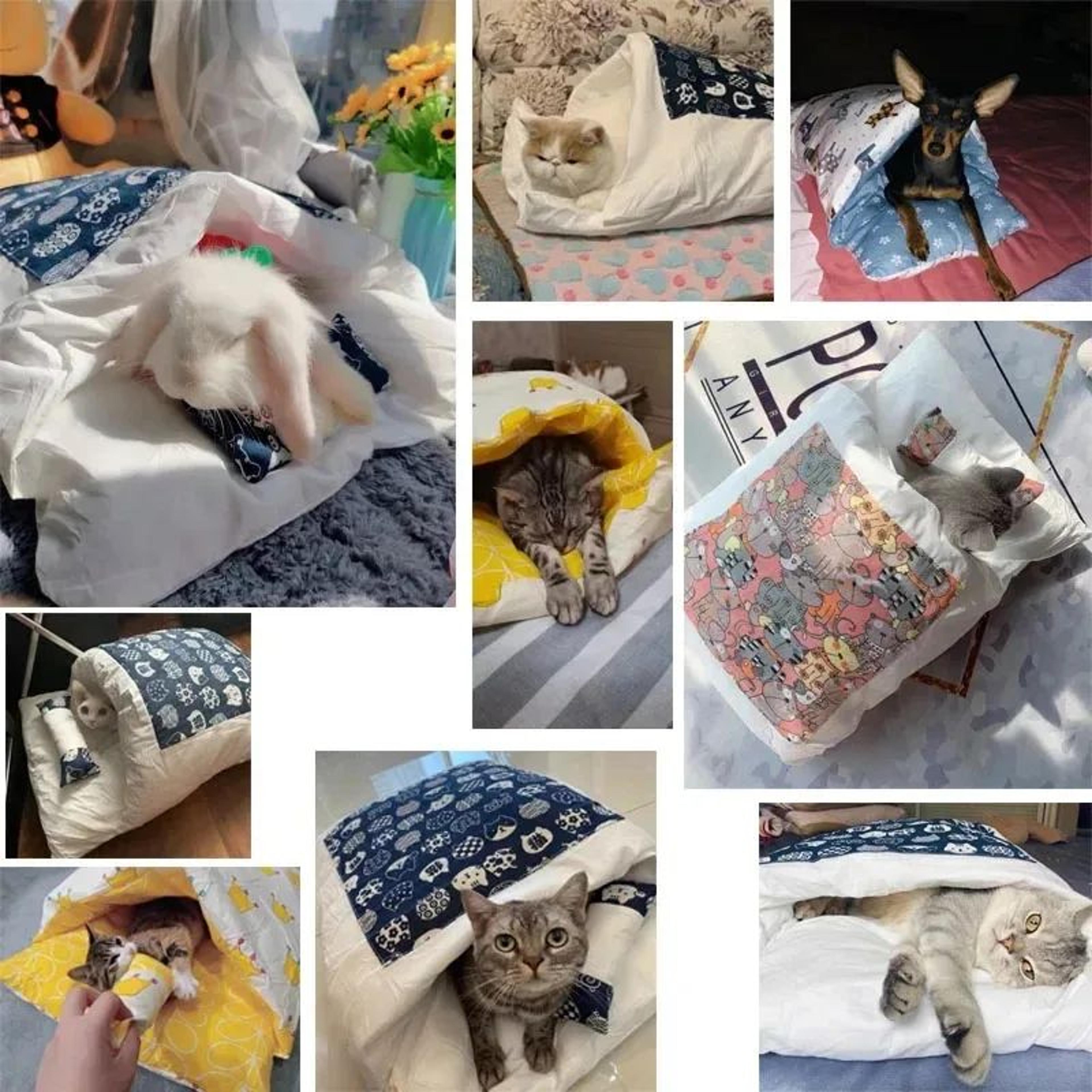 Kawaii Cozy Cat Bed Cave With Removable Cushion 1