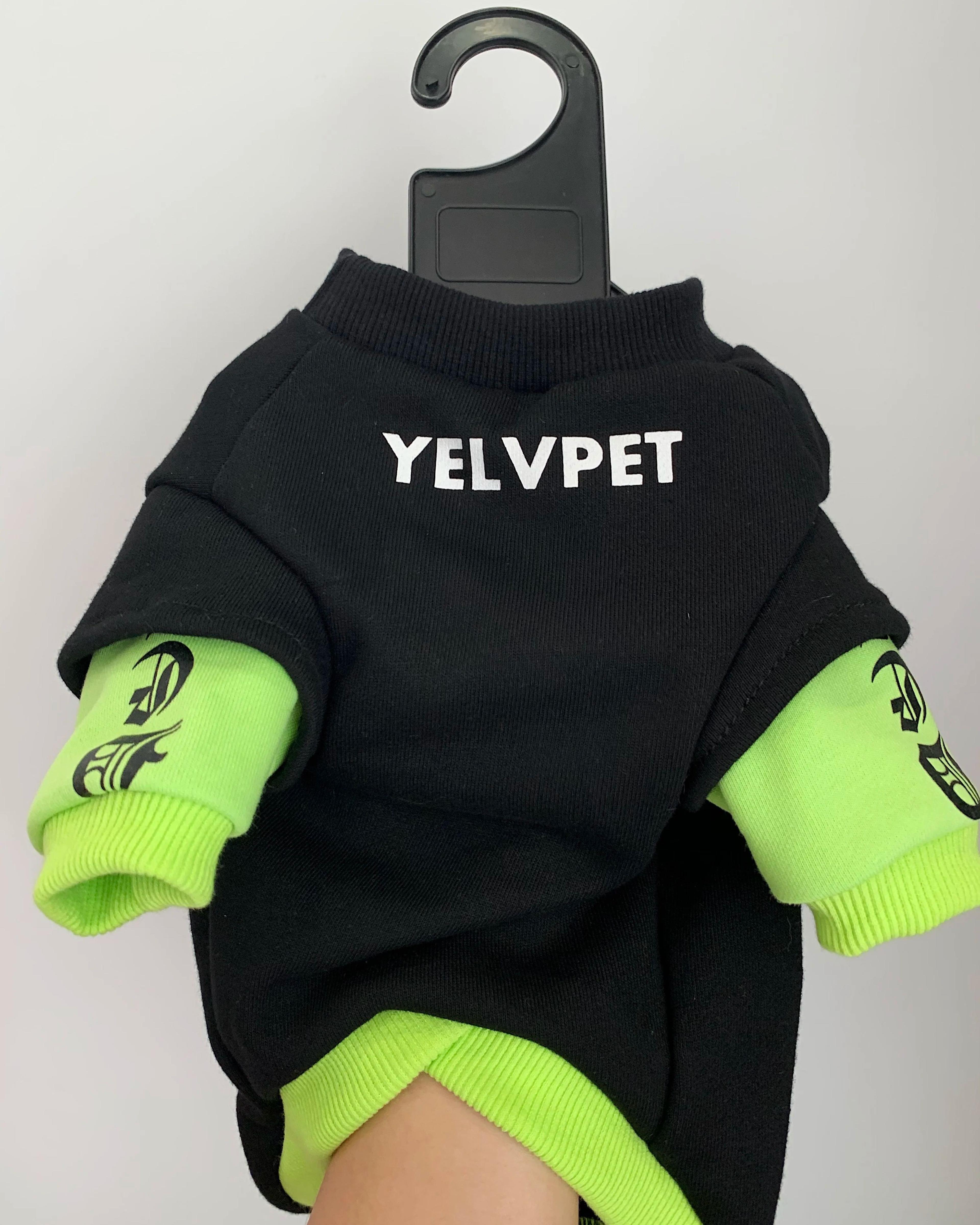 Cozy Cotton Sphynx Cat Sweatshirt For Winter Warmth 3
