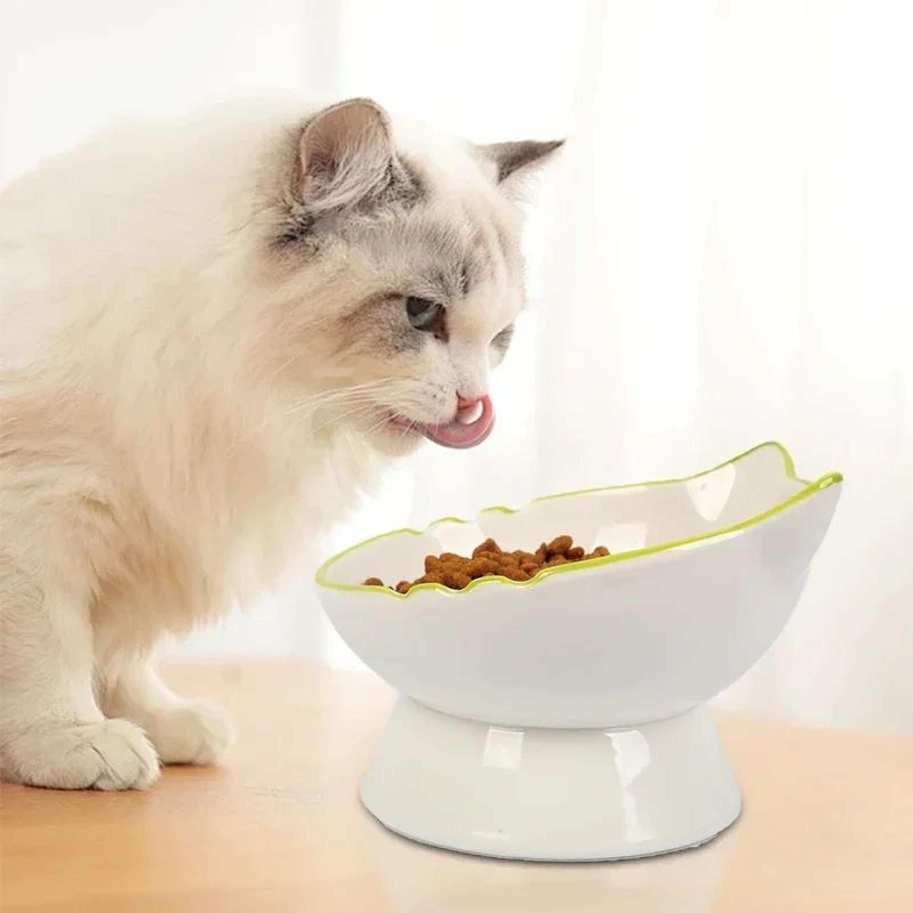 SpineSupport Elevated Cat Bowl For Comfortable Feeding 2