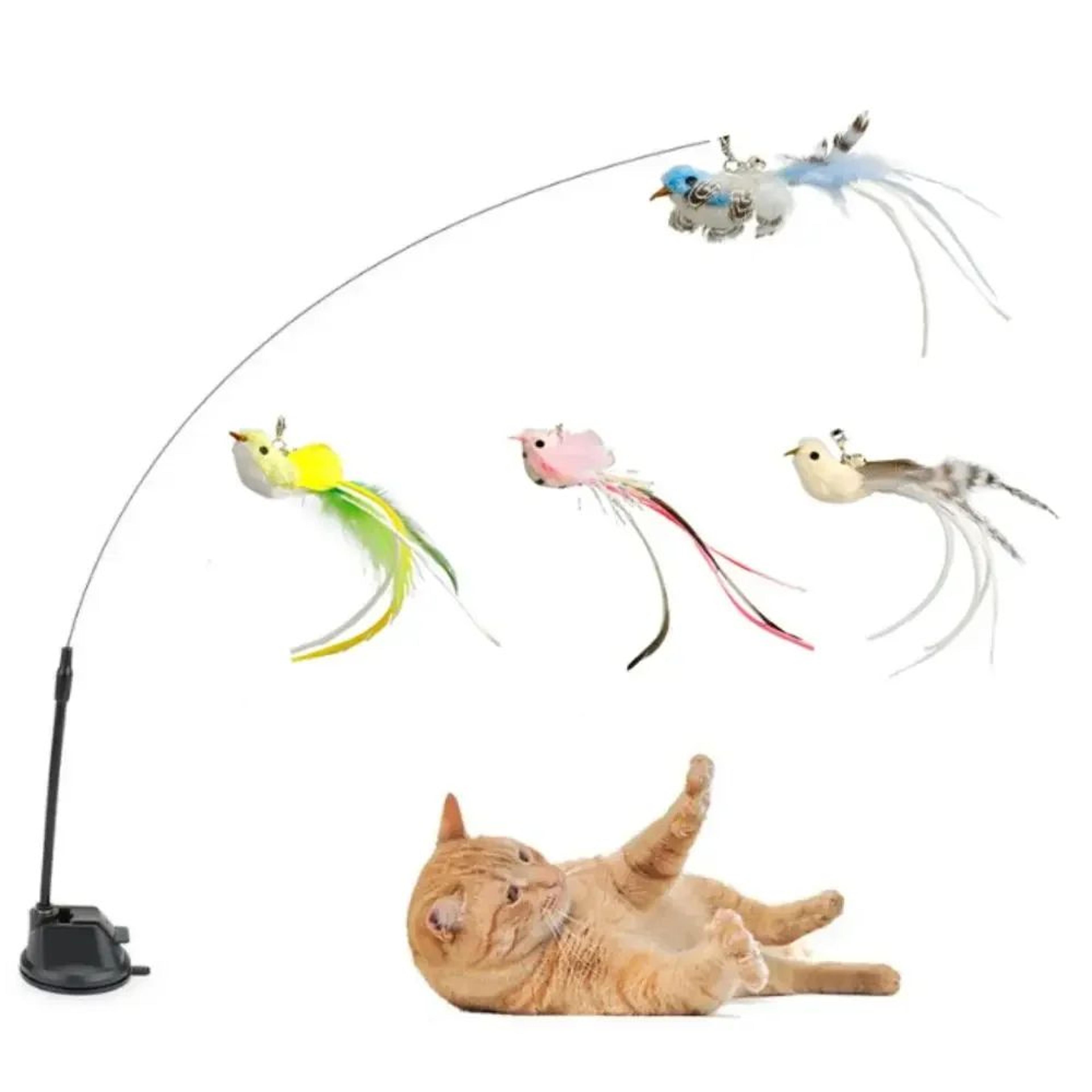 Suction Cup Feather Bird Cat Teaser Toy 0