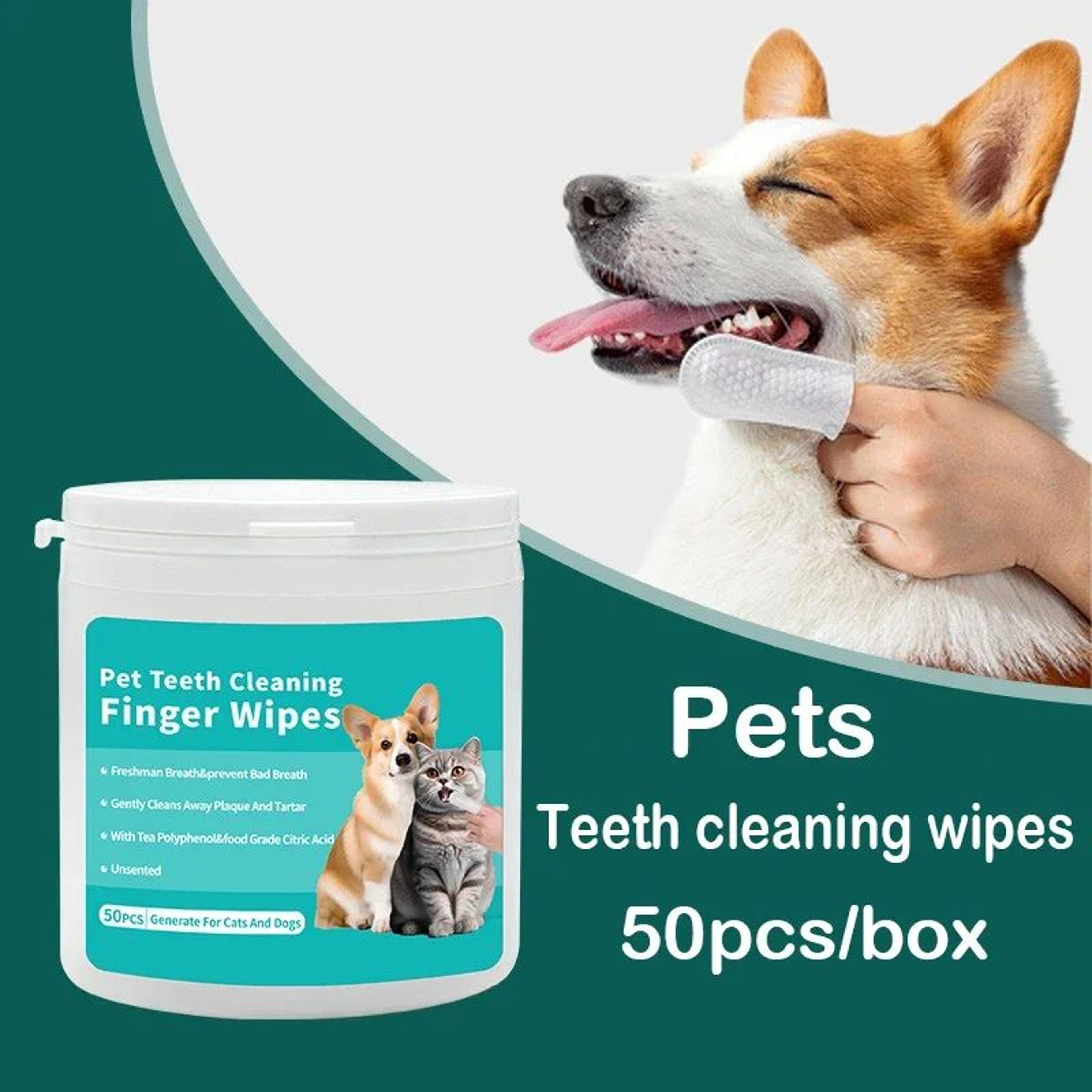 pawfresh pet finger tooth wipes – dog teeth cleaning wipes & cat oral care wipes for easy daily dental hygiene