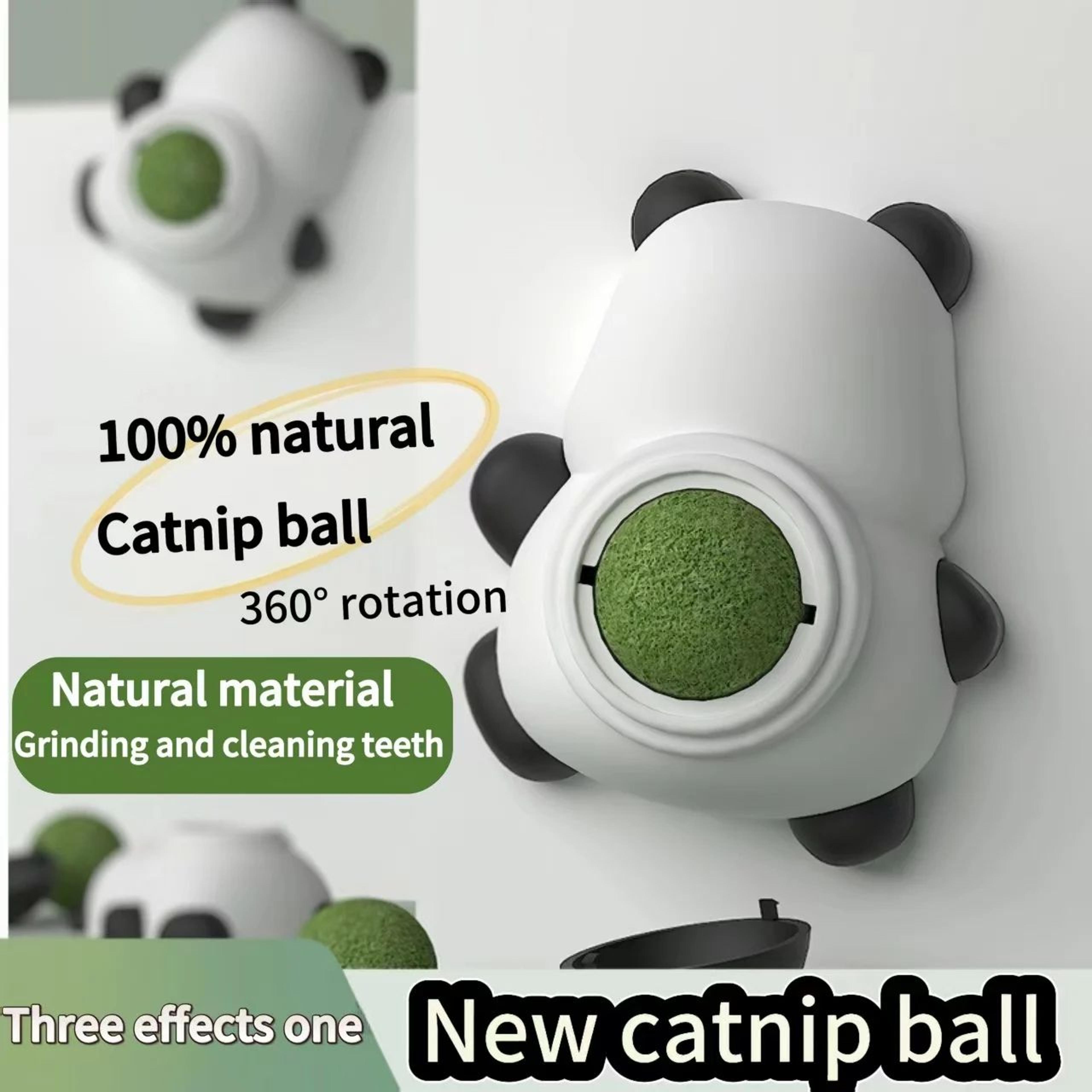 natural catnip wall ball toy for indoor cats