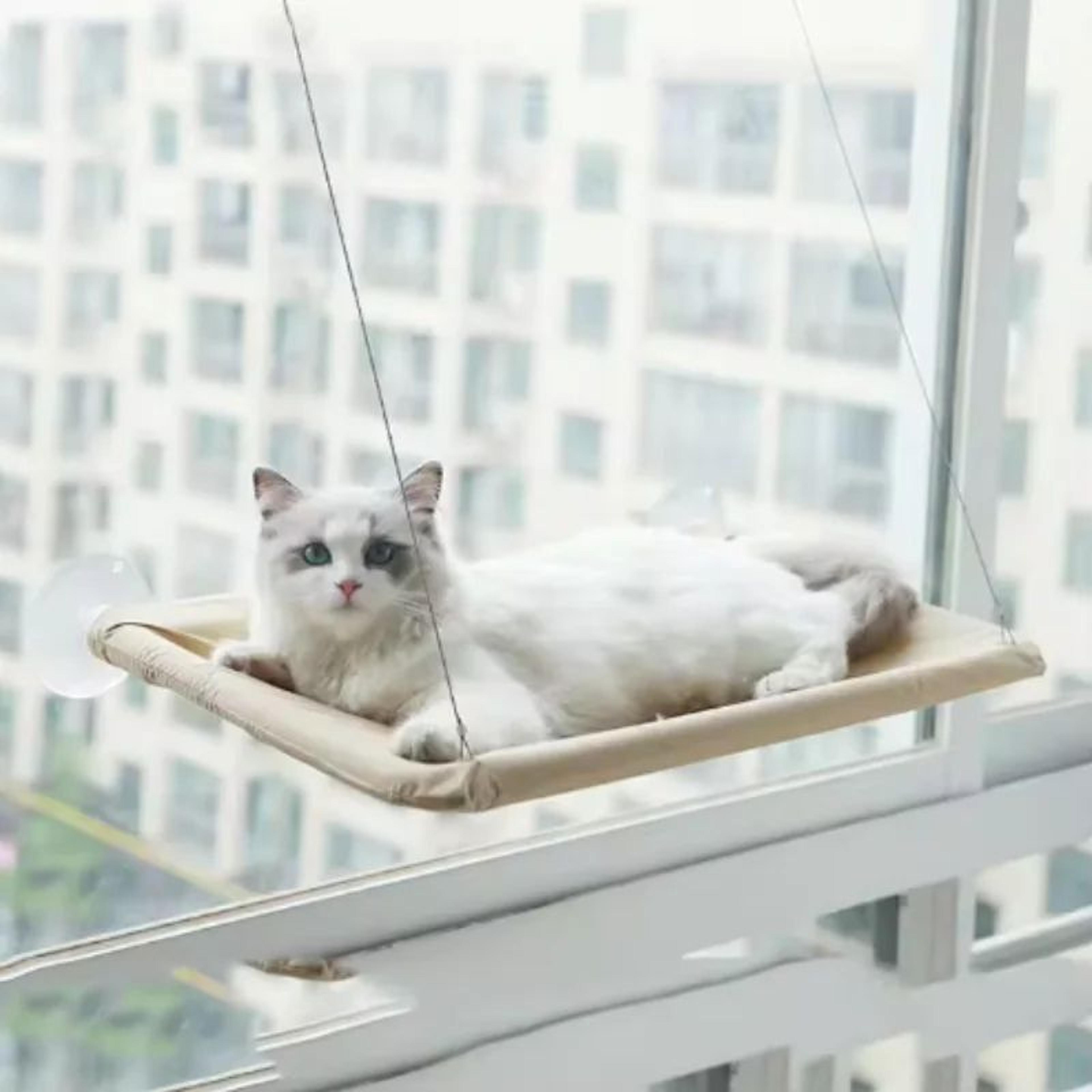 SunView Deluxe Cat Window Hammock  HeavyDuty Window Perch For Cats With 20kg Capacity 4