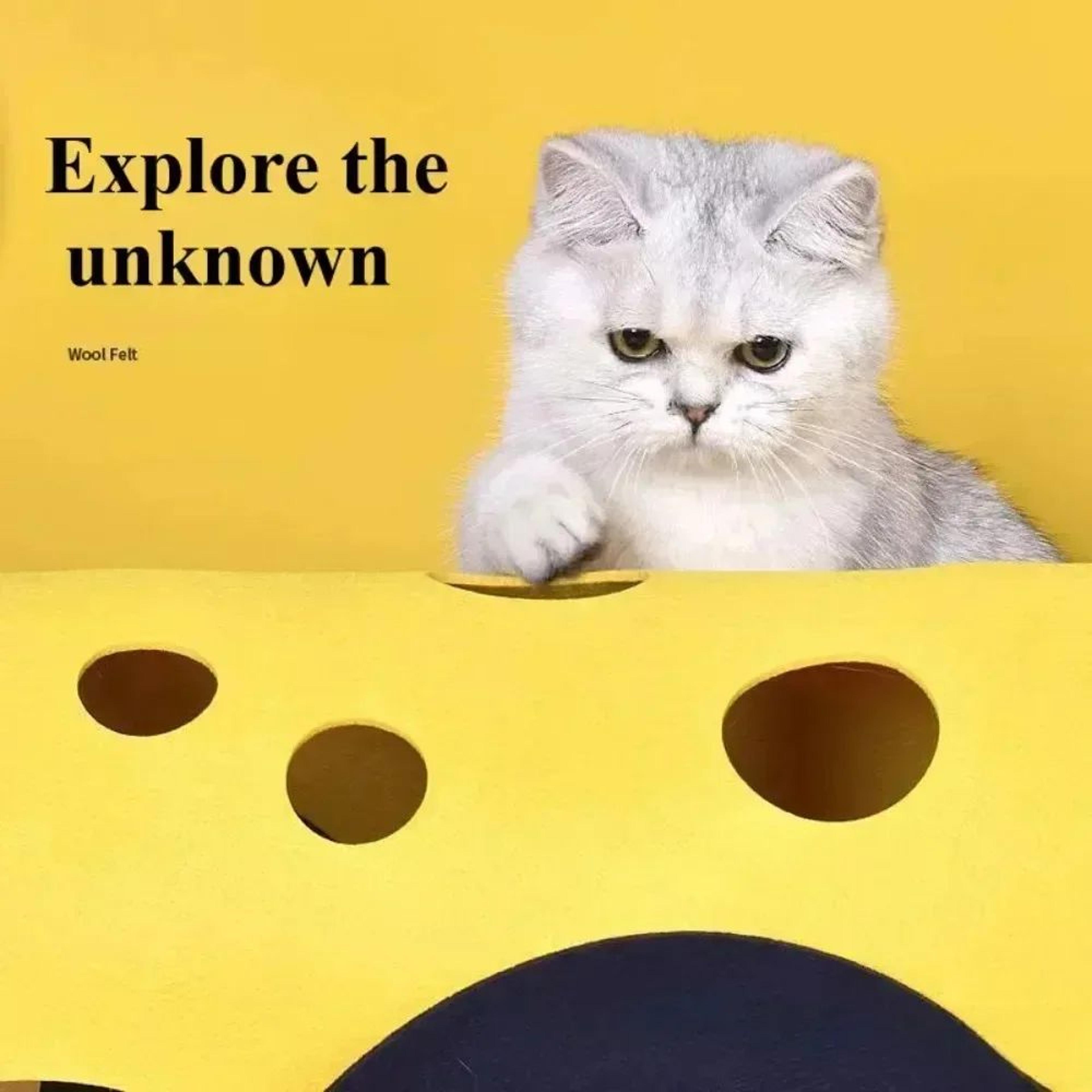 Foldable Cat Tunnel Bed Activity Rug For Indoor Play 1