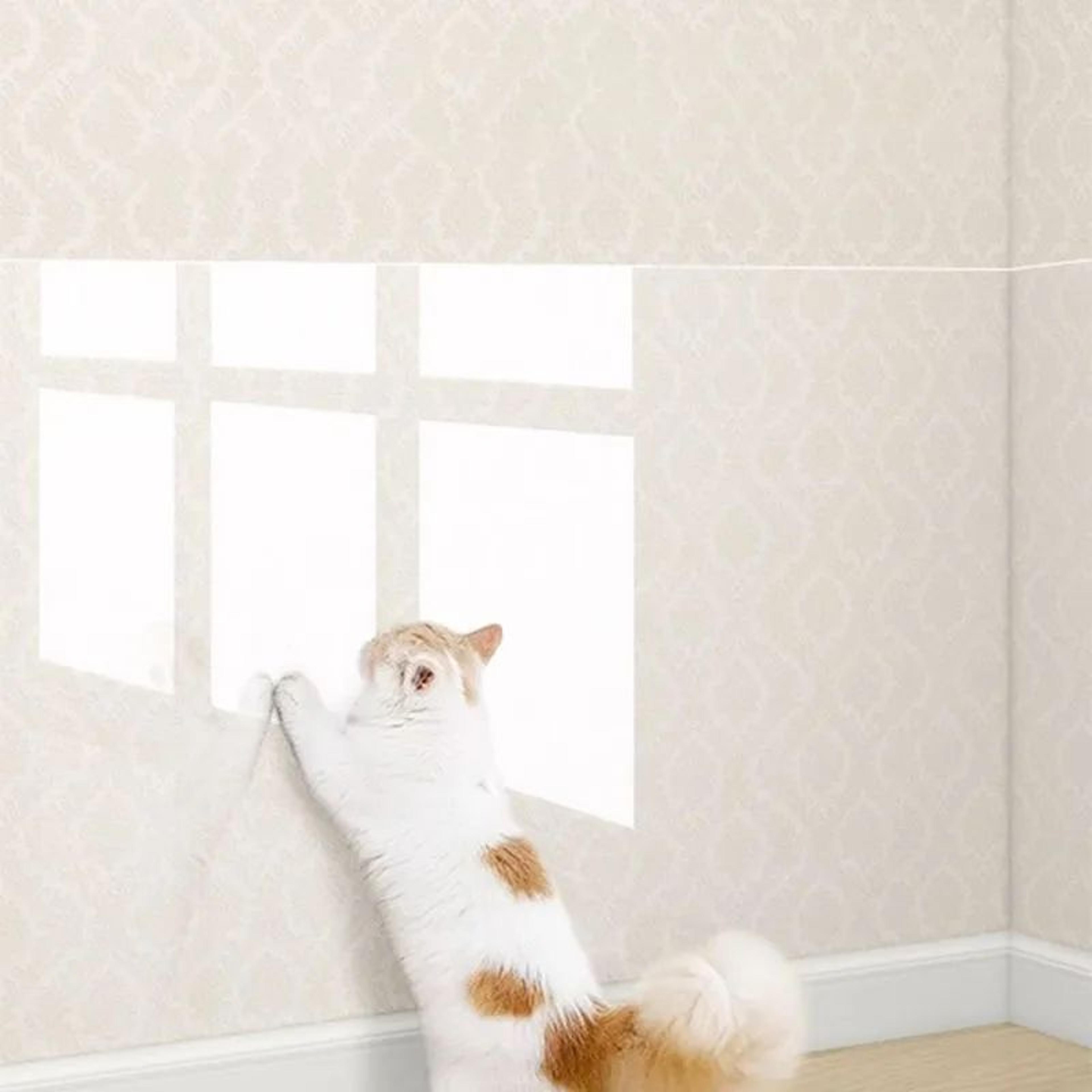ClearGuard Cat Scratch Furniture Protector Pads 1