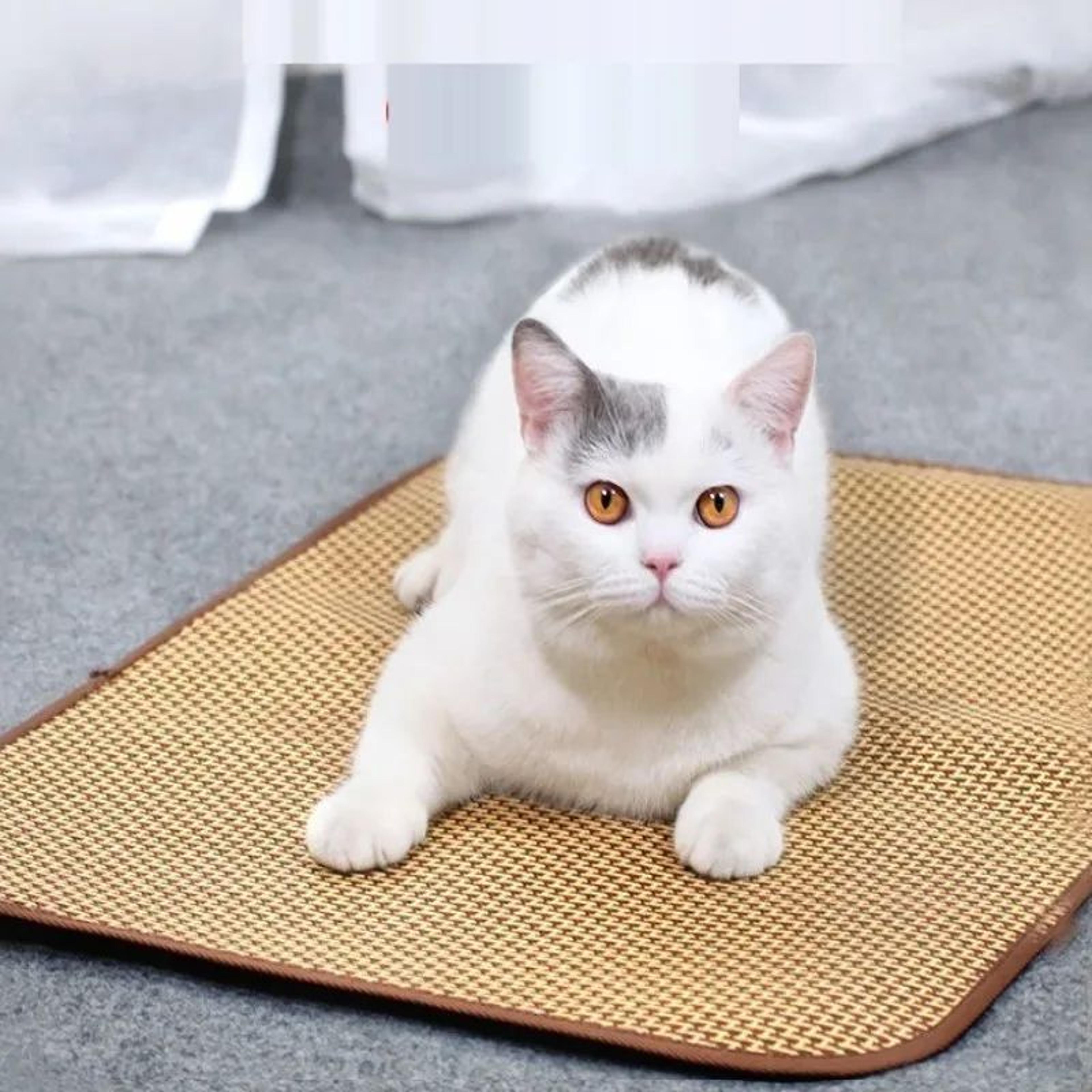Arctic Chill Dog Cooling Mat  ExtraLarge Pet Cooling Pad For Dogs  Cats 1