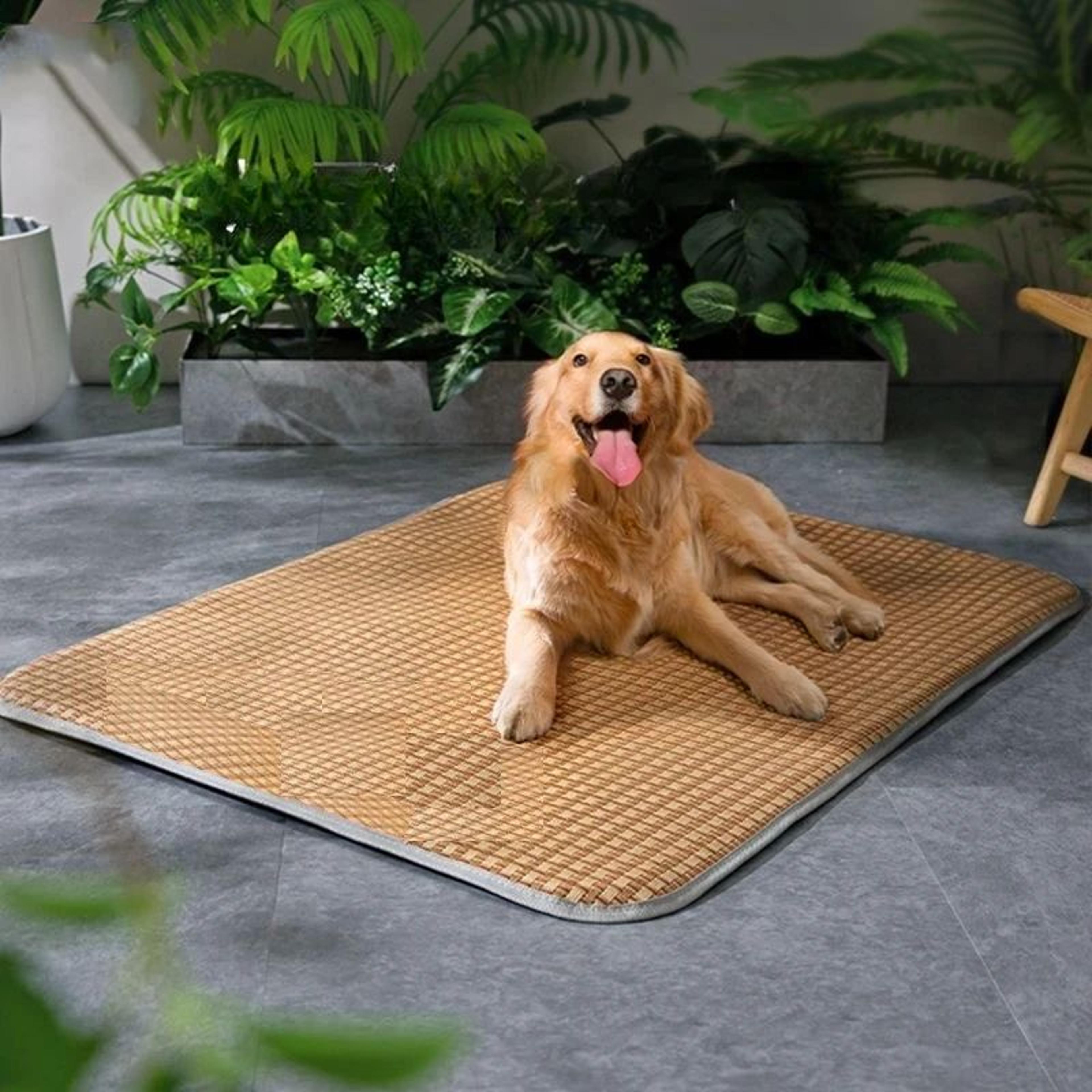 Arctic Chill Dog Cooling Mat  ExtraLarge Pet Cooling Pad For Dogs  Cats 5