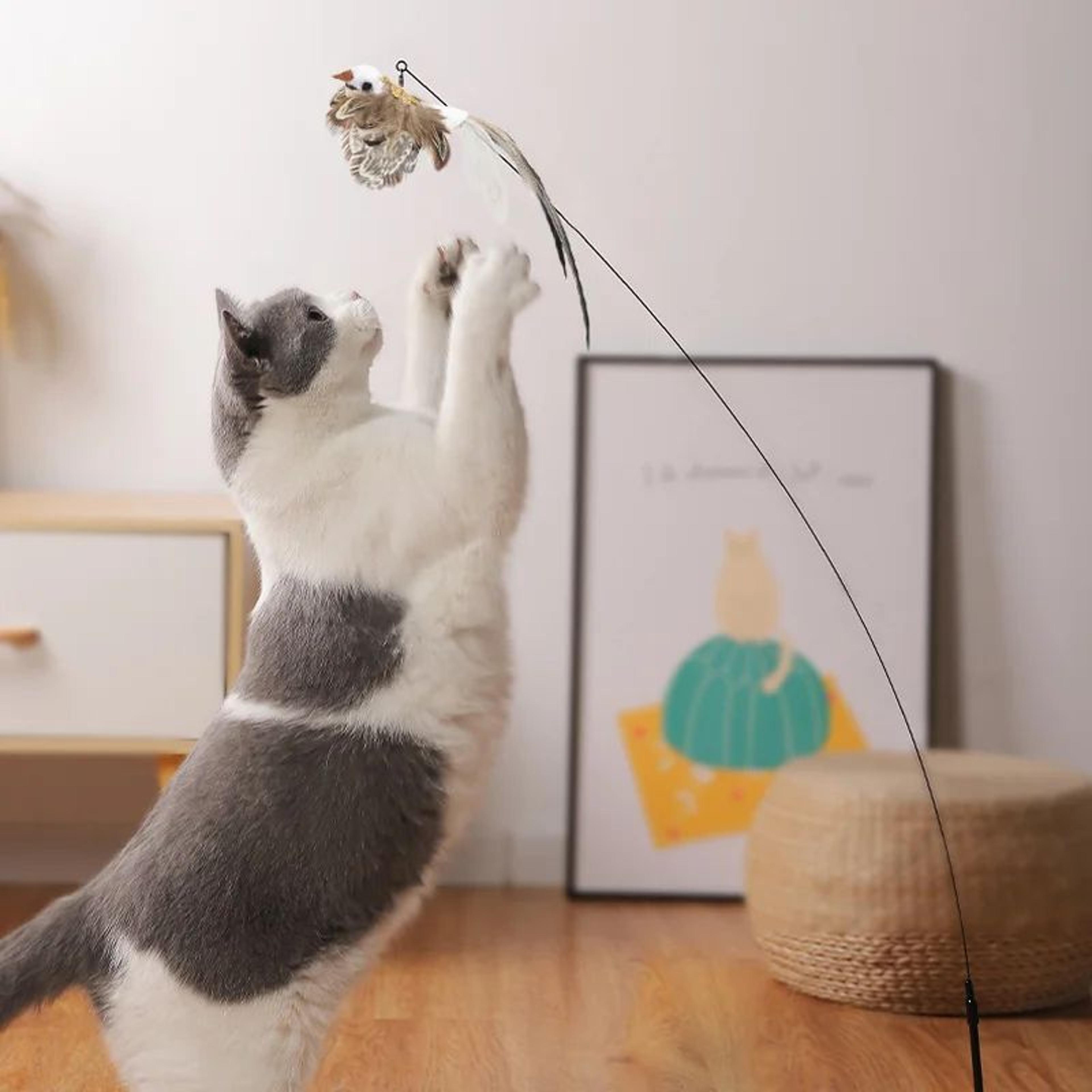 FeatherFly Interactive Bird Cat Teaser Wand 3