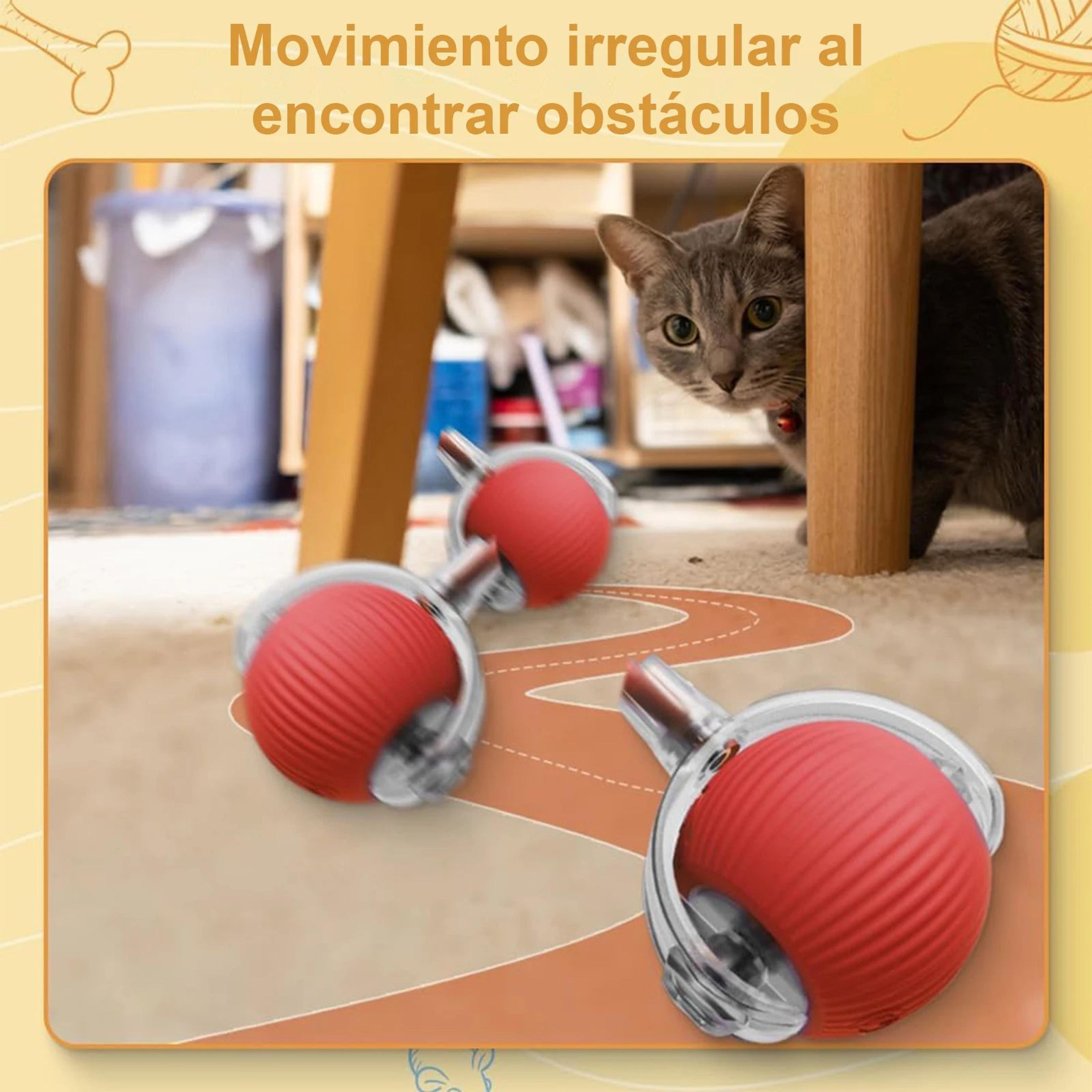Rechargeable Speedy Tail Interactive Cat Toy Ball 4