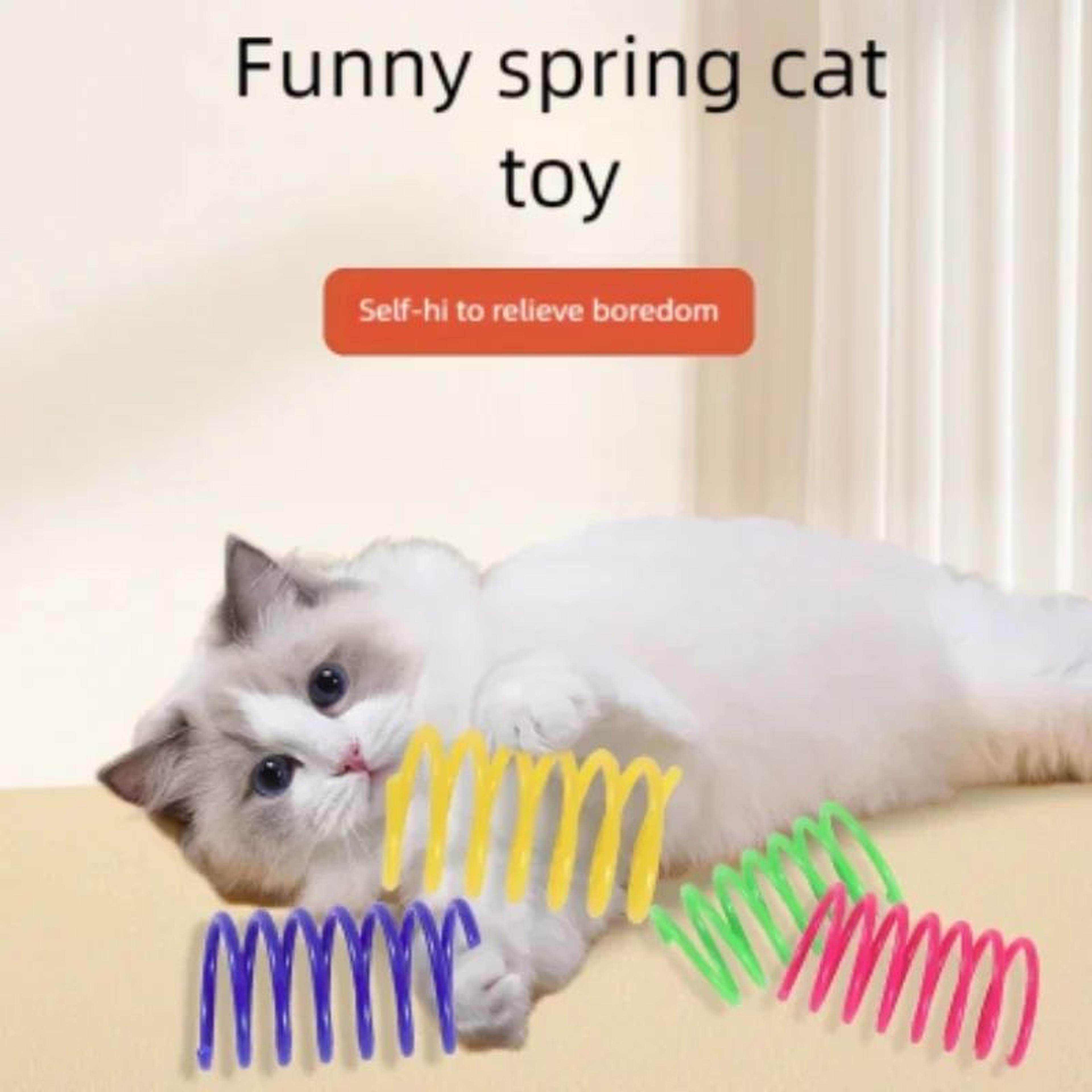 Bouncy Plastic Spring Cat Toy For Indoor Cats 0