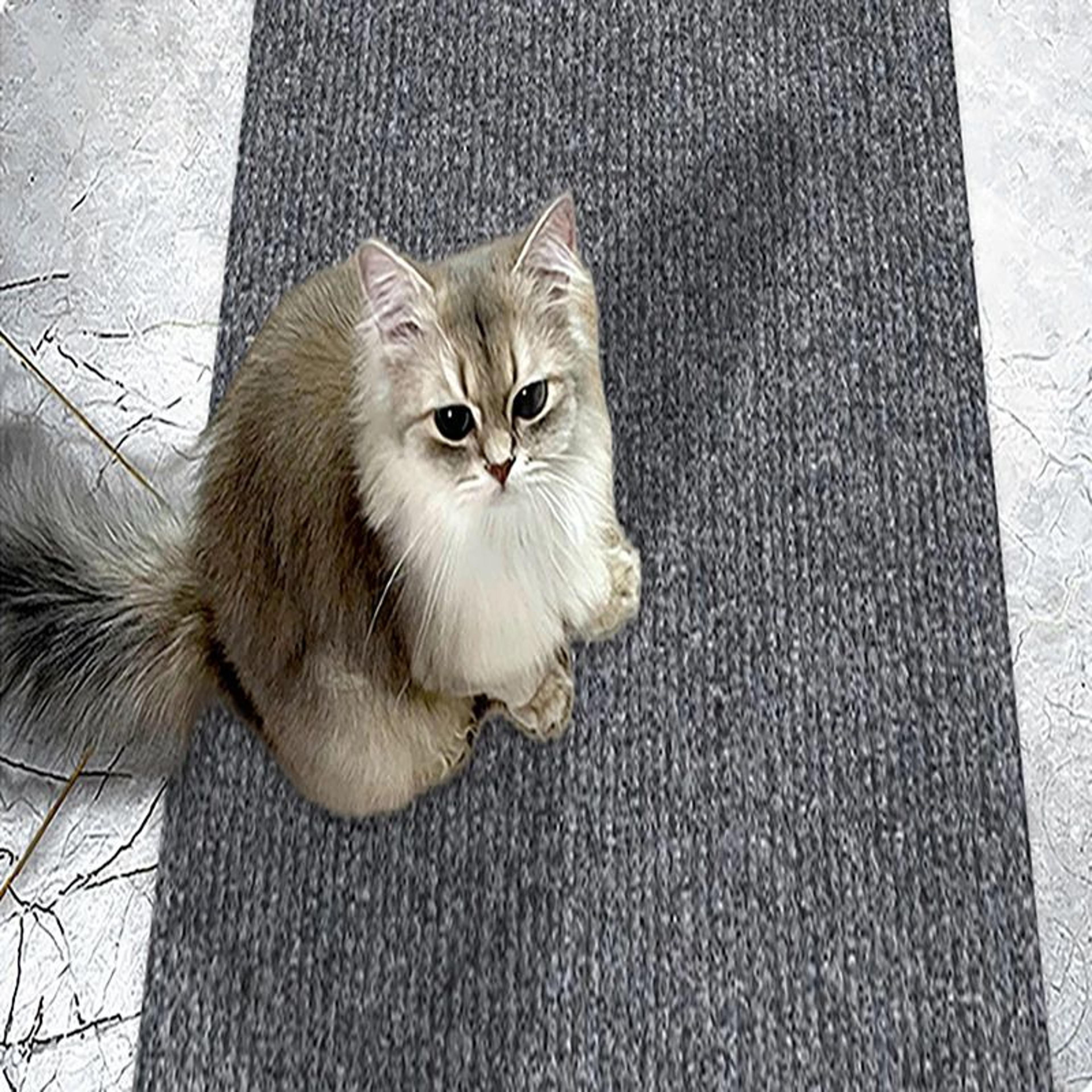 WallGuard Cat Climbing  Scratching Mat  SelfAdhesive Cat Scratch Protector For Walls  Sofas 3