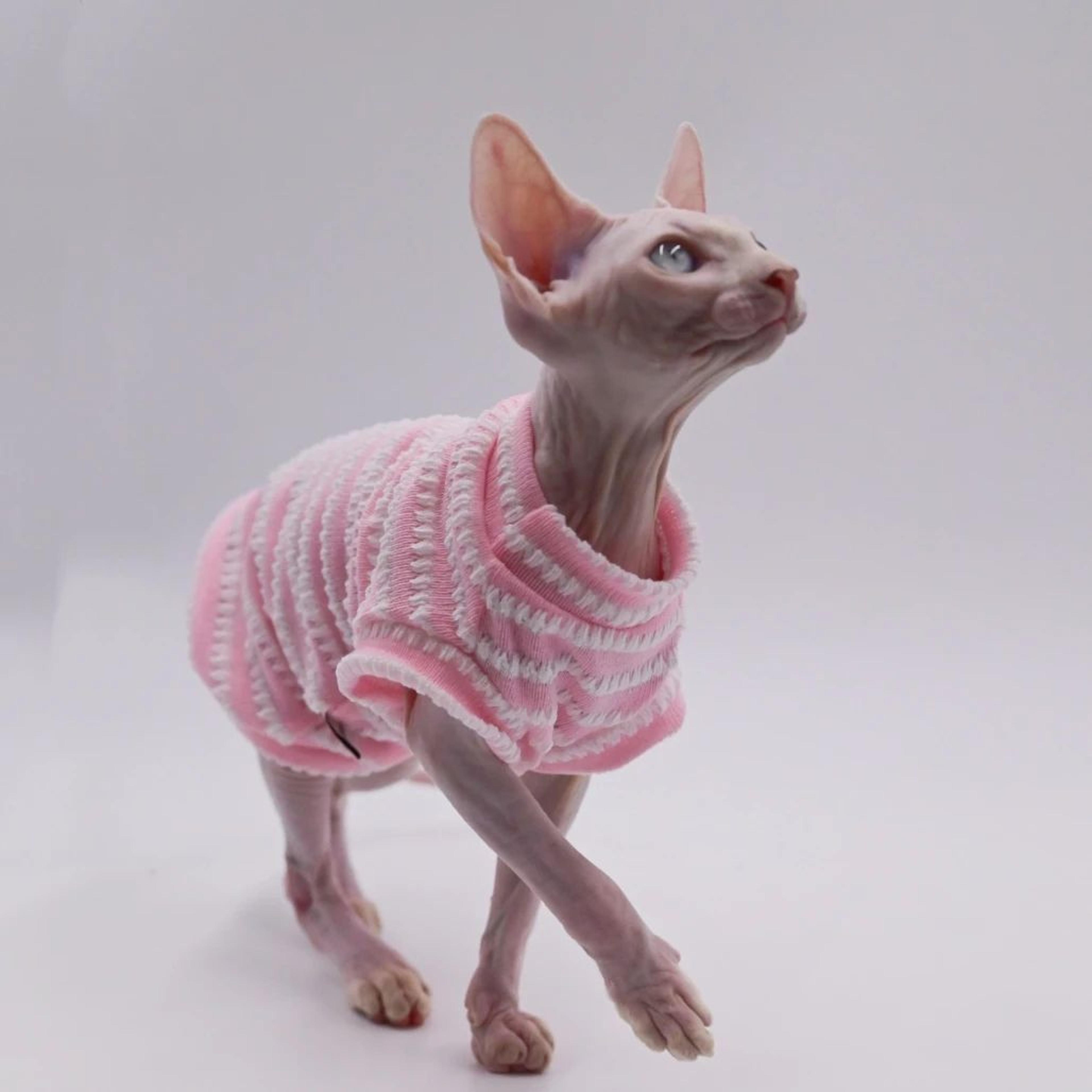CoolComfort Hairless Cat Summer Vest  Soft Stretch Sphynx Cat Clothes  Breathable Hairless Cat Shir 2