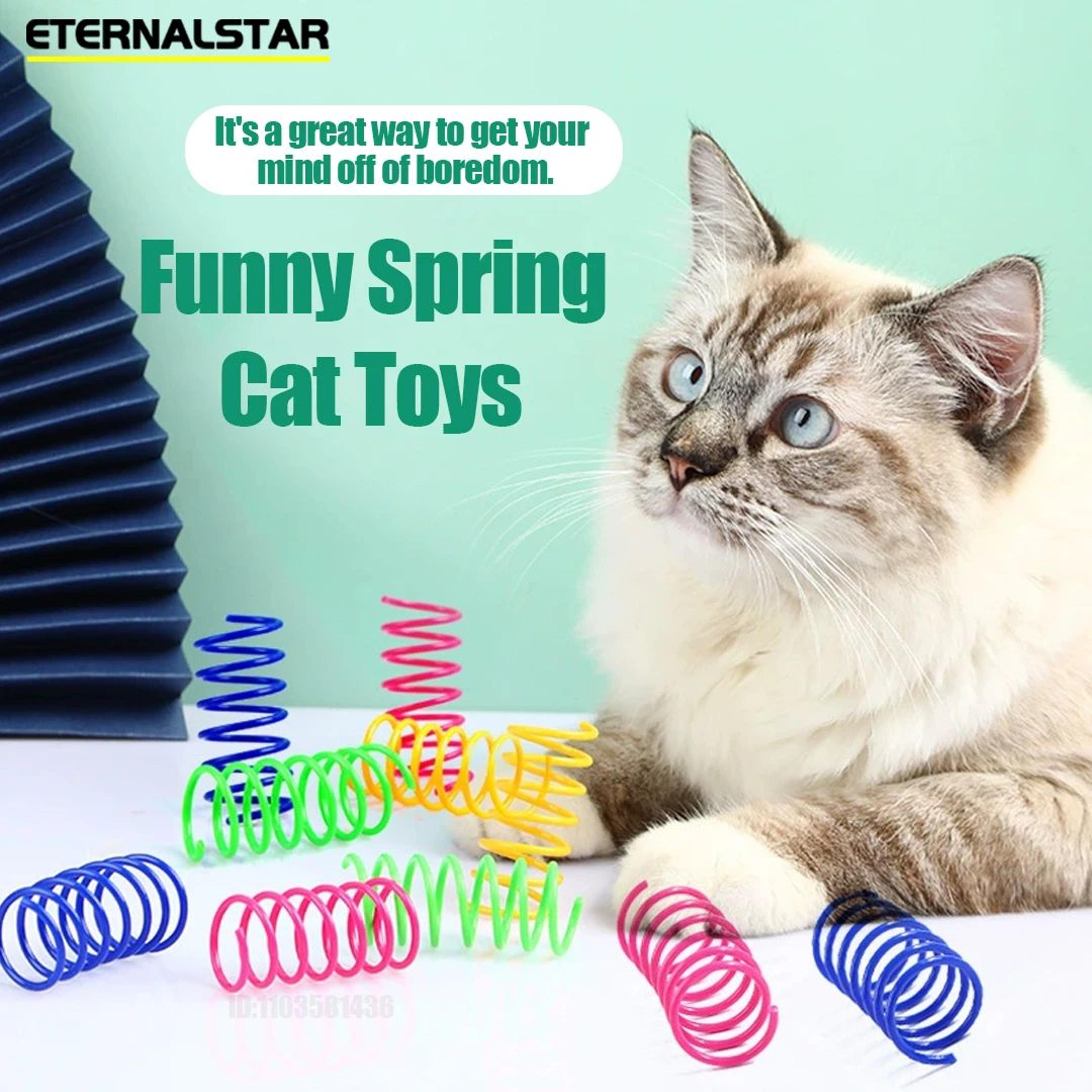 Durable Interactive Cat Spring Toys For Indoor Cats  Colorful Spiral Coil Kitten Play Set 2