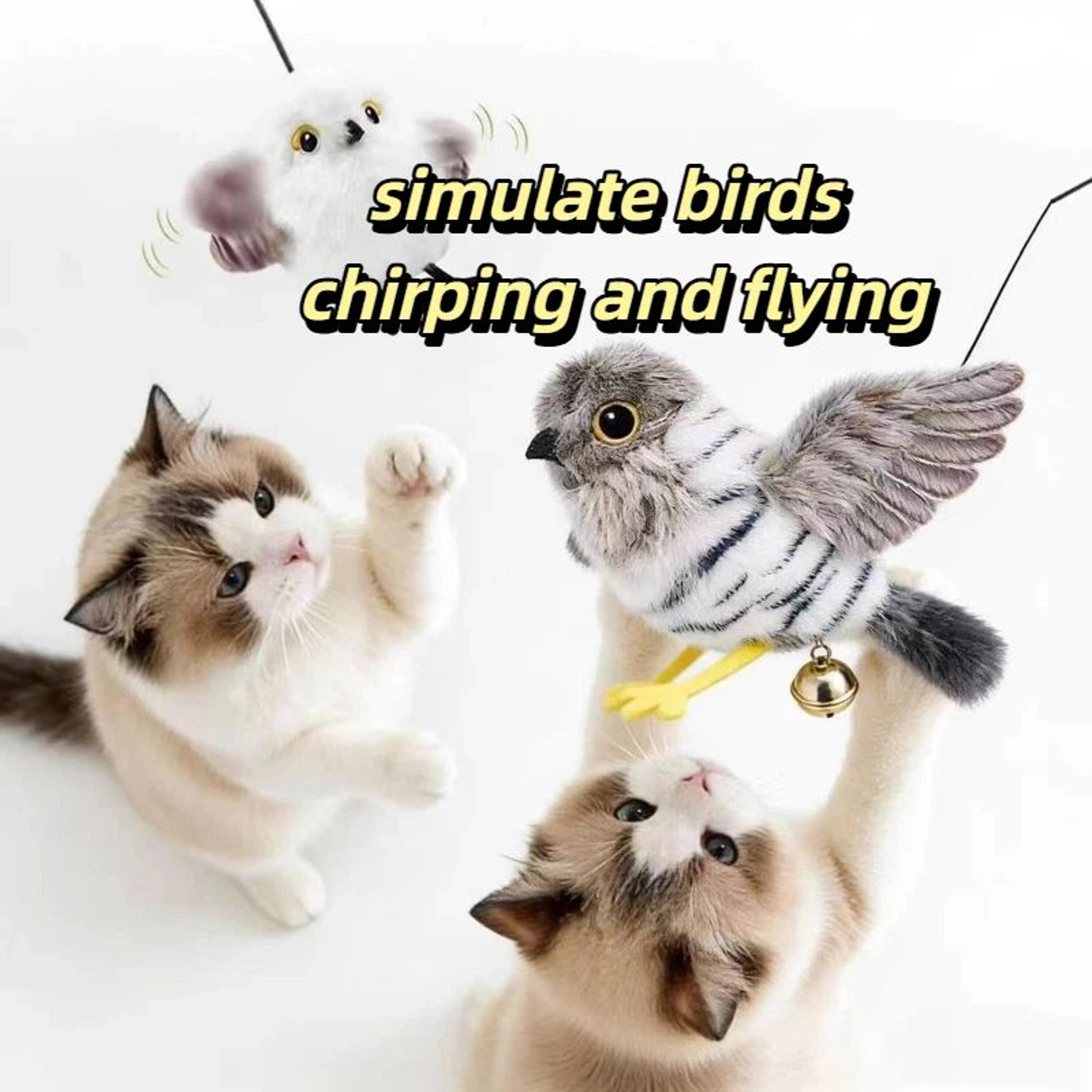 flappybird interactive cat toy – usb rechargeable chirping bird for indoor cats