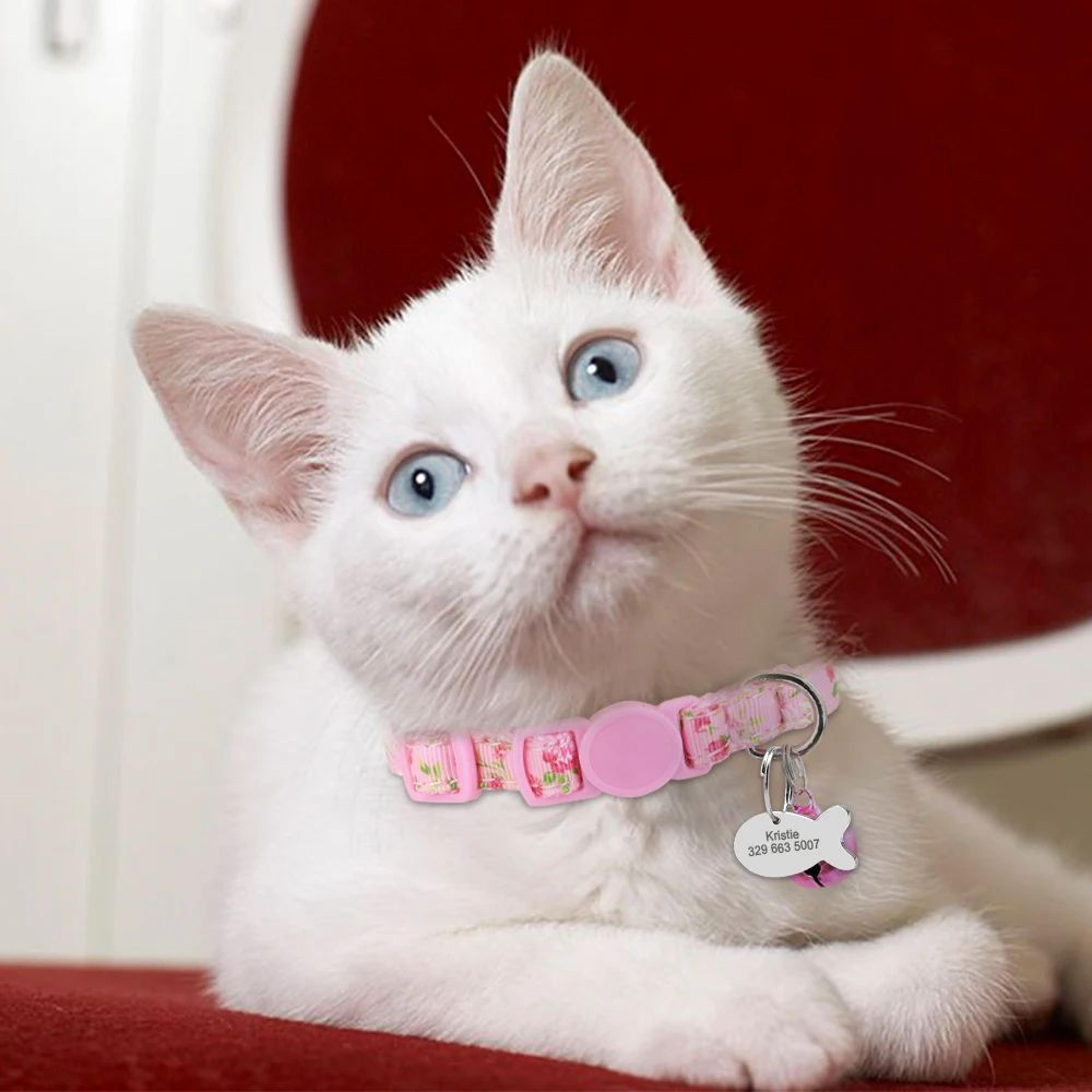 Personalized Engraved Nylon Cat Collar With Custom ID Tag For Cats  Small Dogs 5