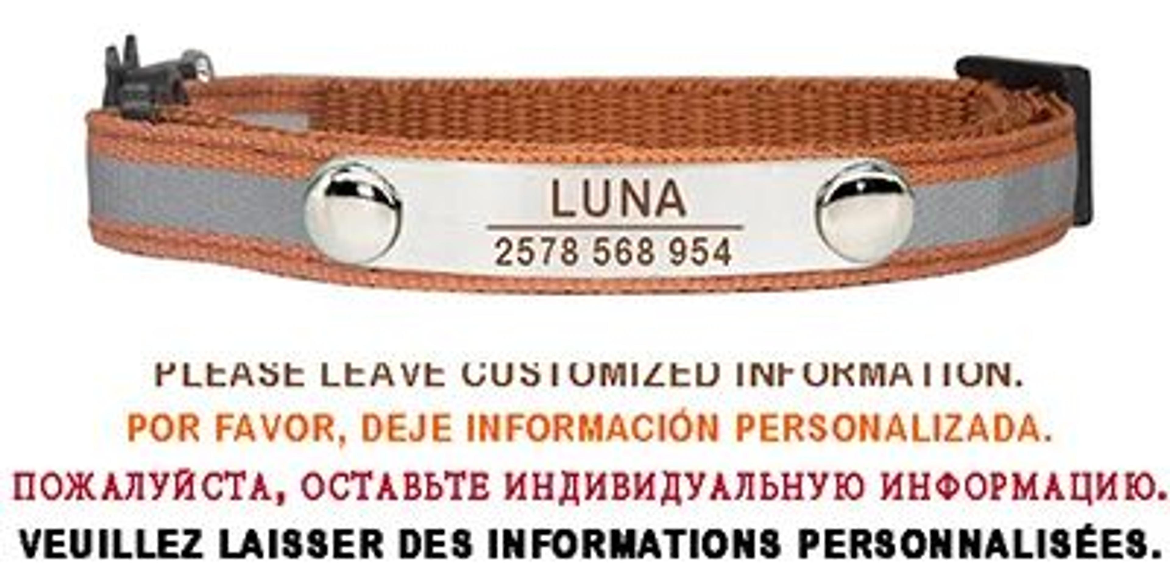 SafeGlow Personalized Reflective Cat ID Collar With Engraved Name  Bell 8