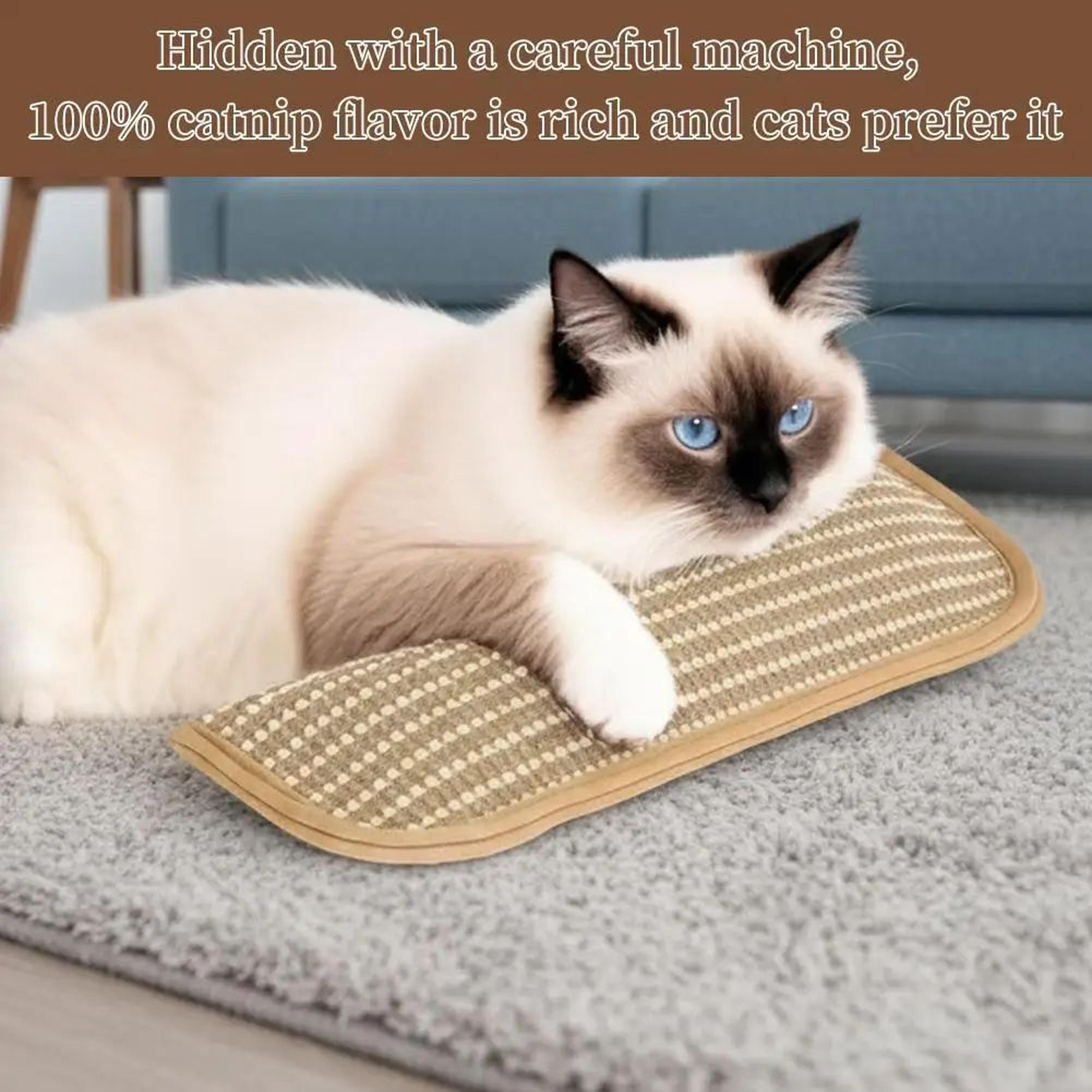 Catnip Toy Kicker Pillow For Indoor Cats 1