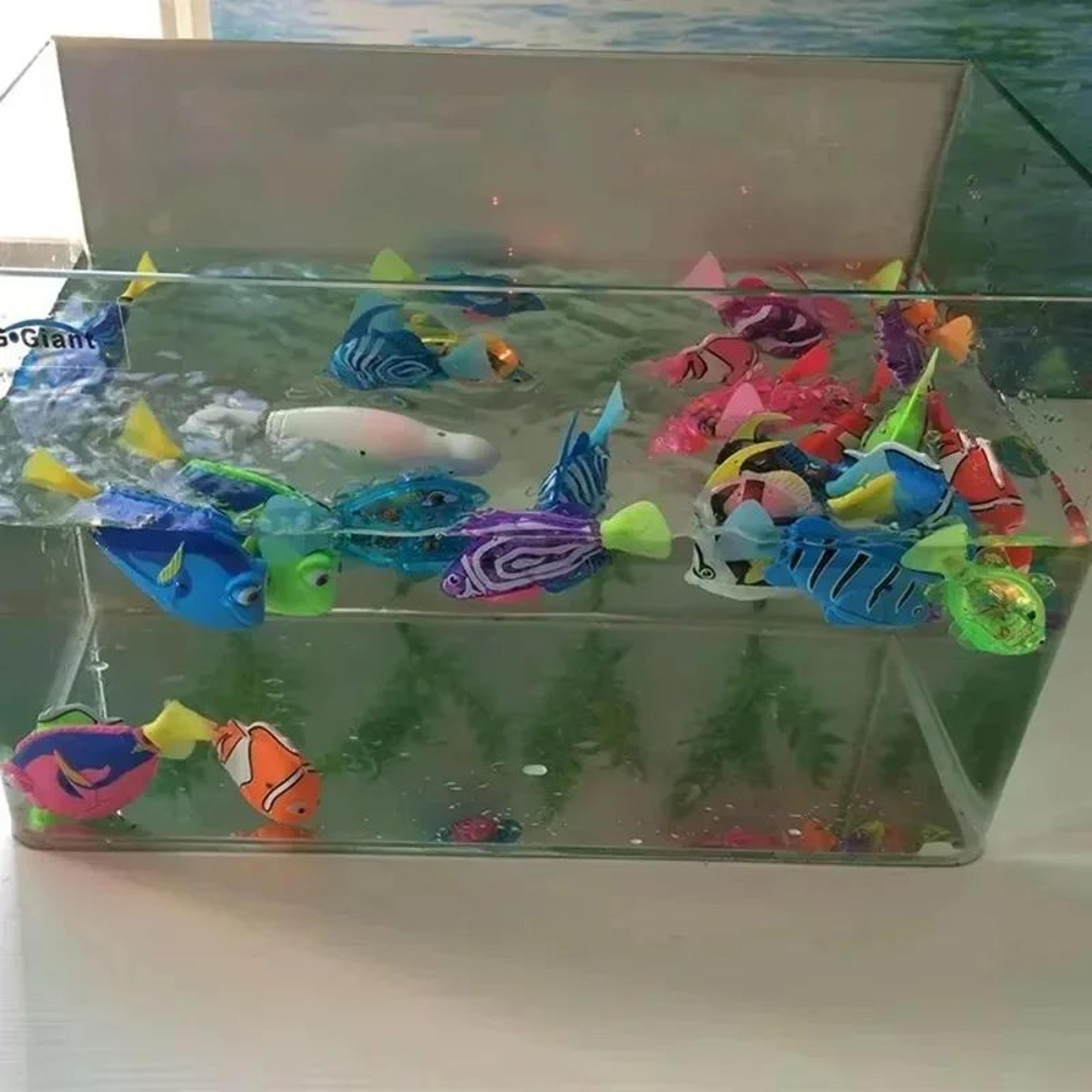 Interactive LED Robot Fish Cat Toy  Motion Activated Cat Hunting Toy For Indoor Cats 3