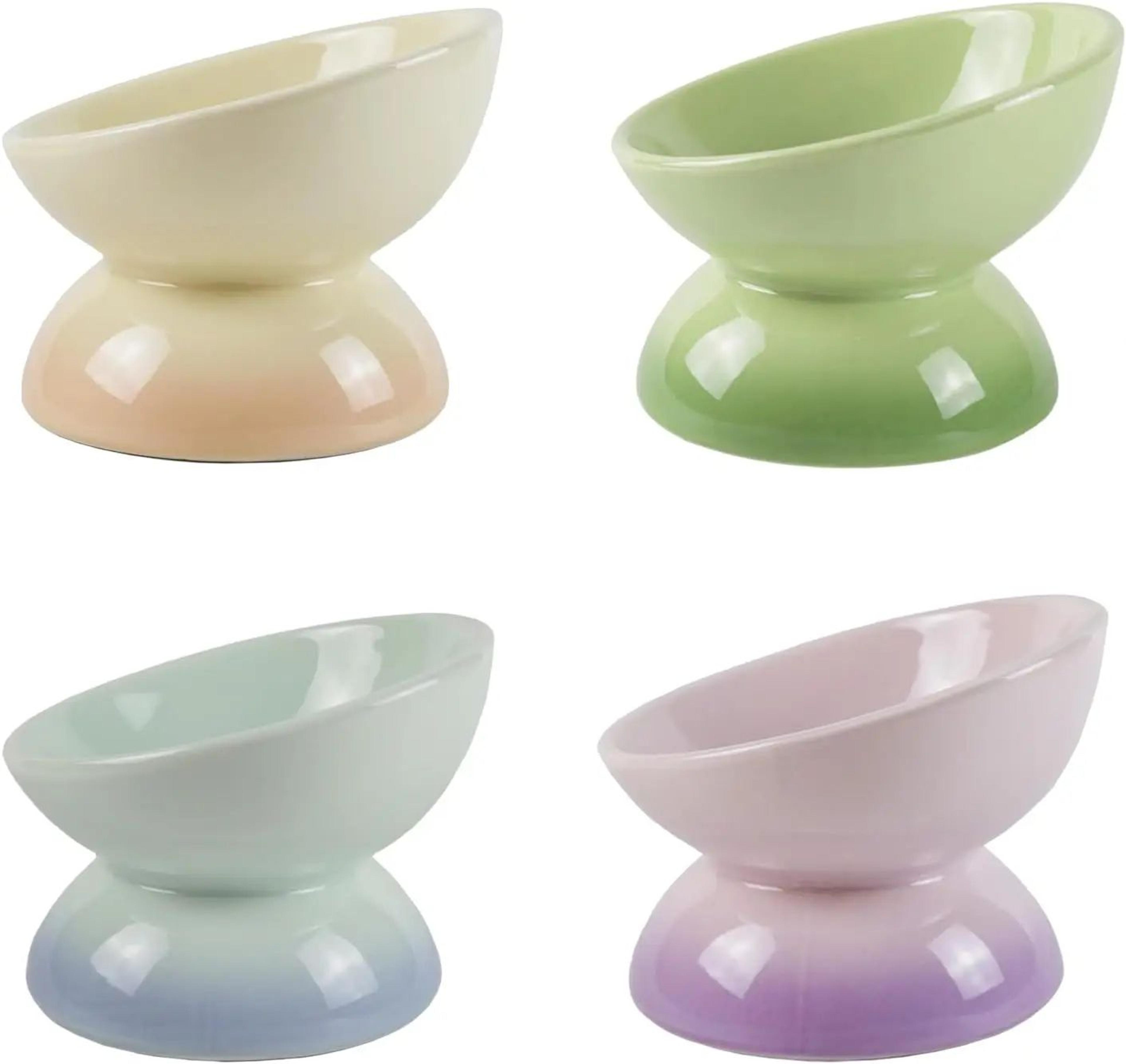 Premium Ceramic Cat Bowl With Elevated Tilted Stand 0