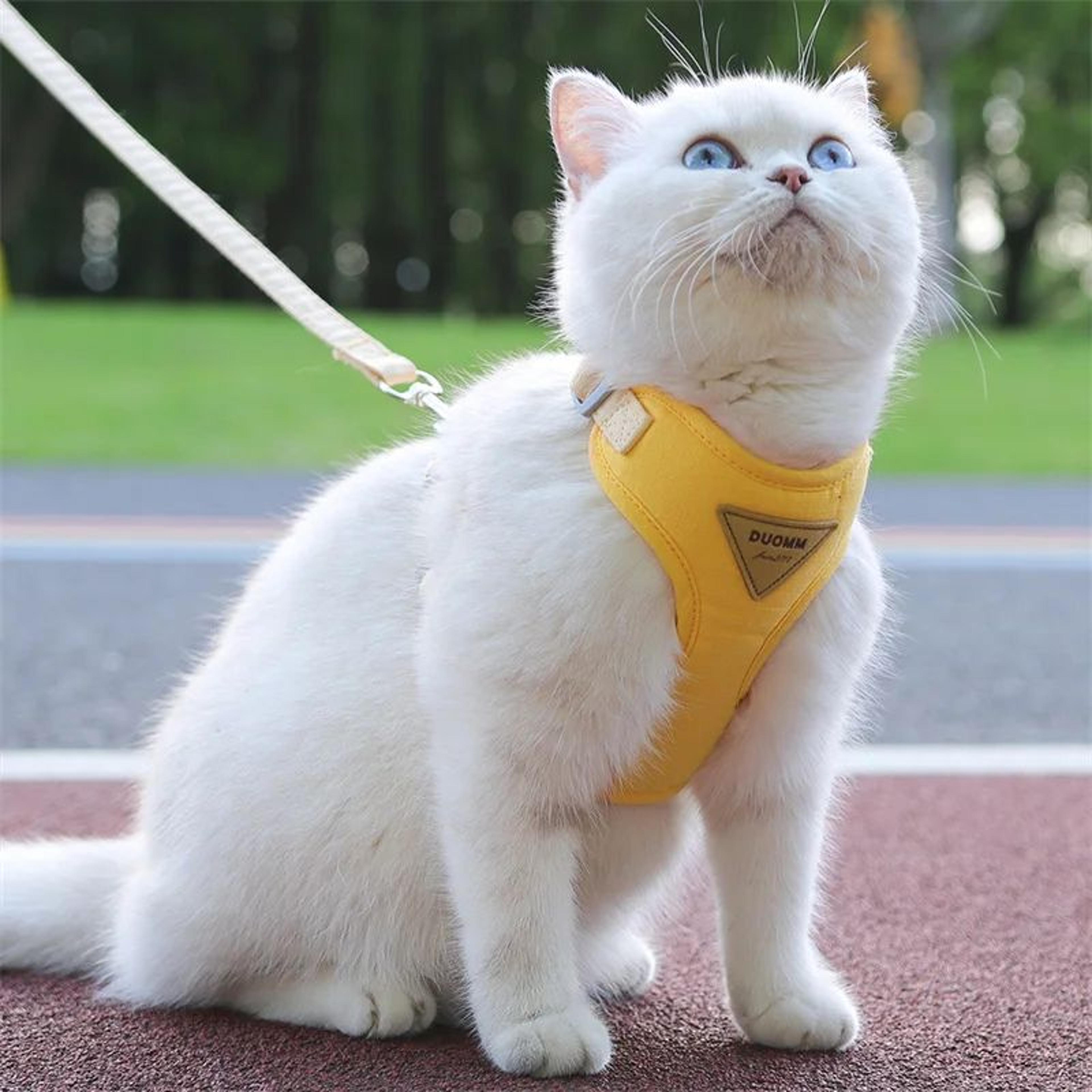 Cozy Adjustable Cat Harness And Leash Set For Safe Walks 2